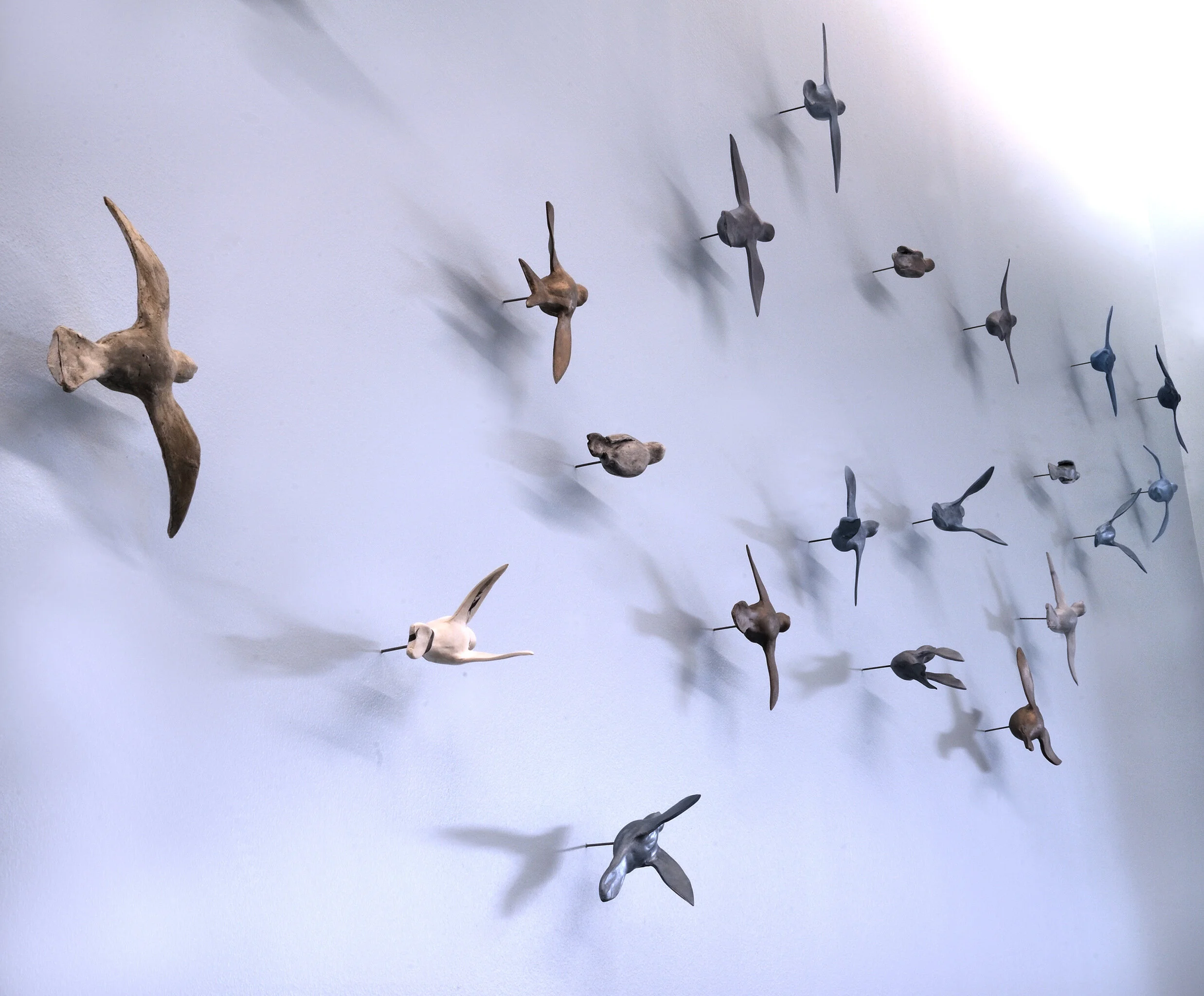 Murmuration