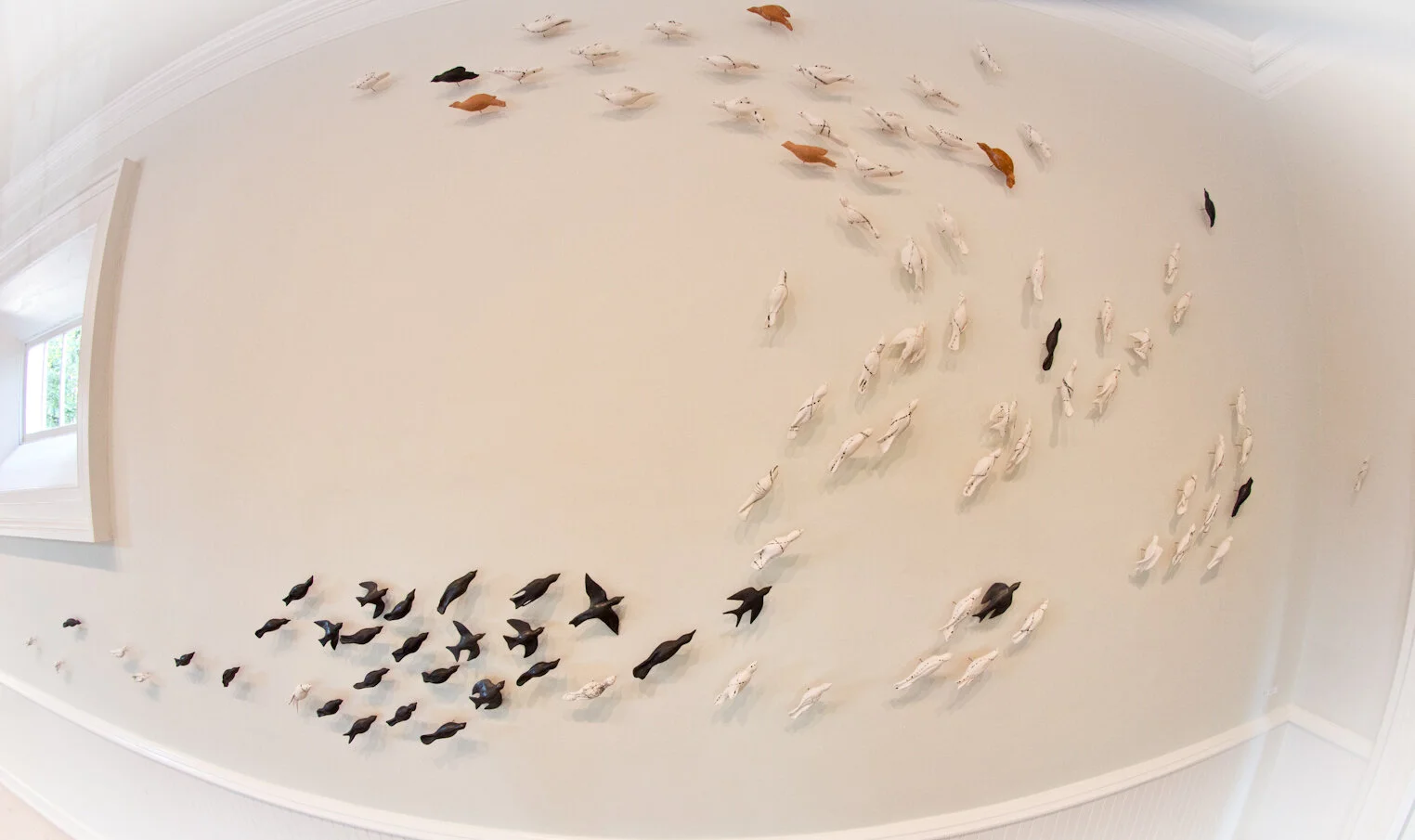 Murmuration 3