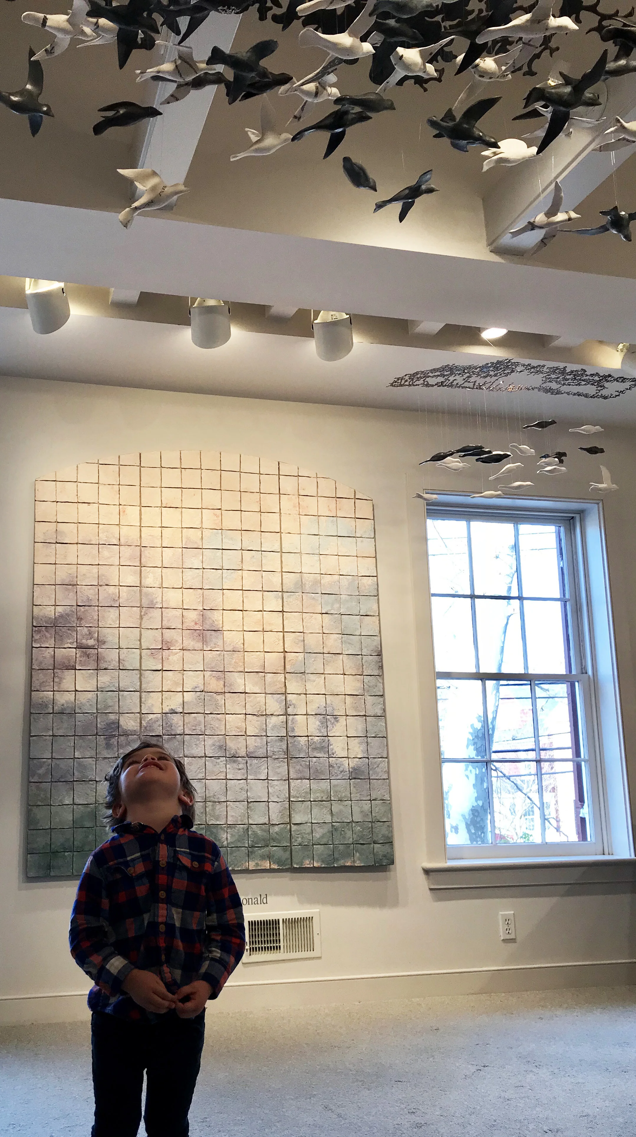 boy with birds.jpg