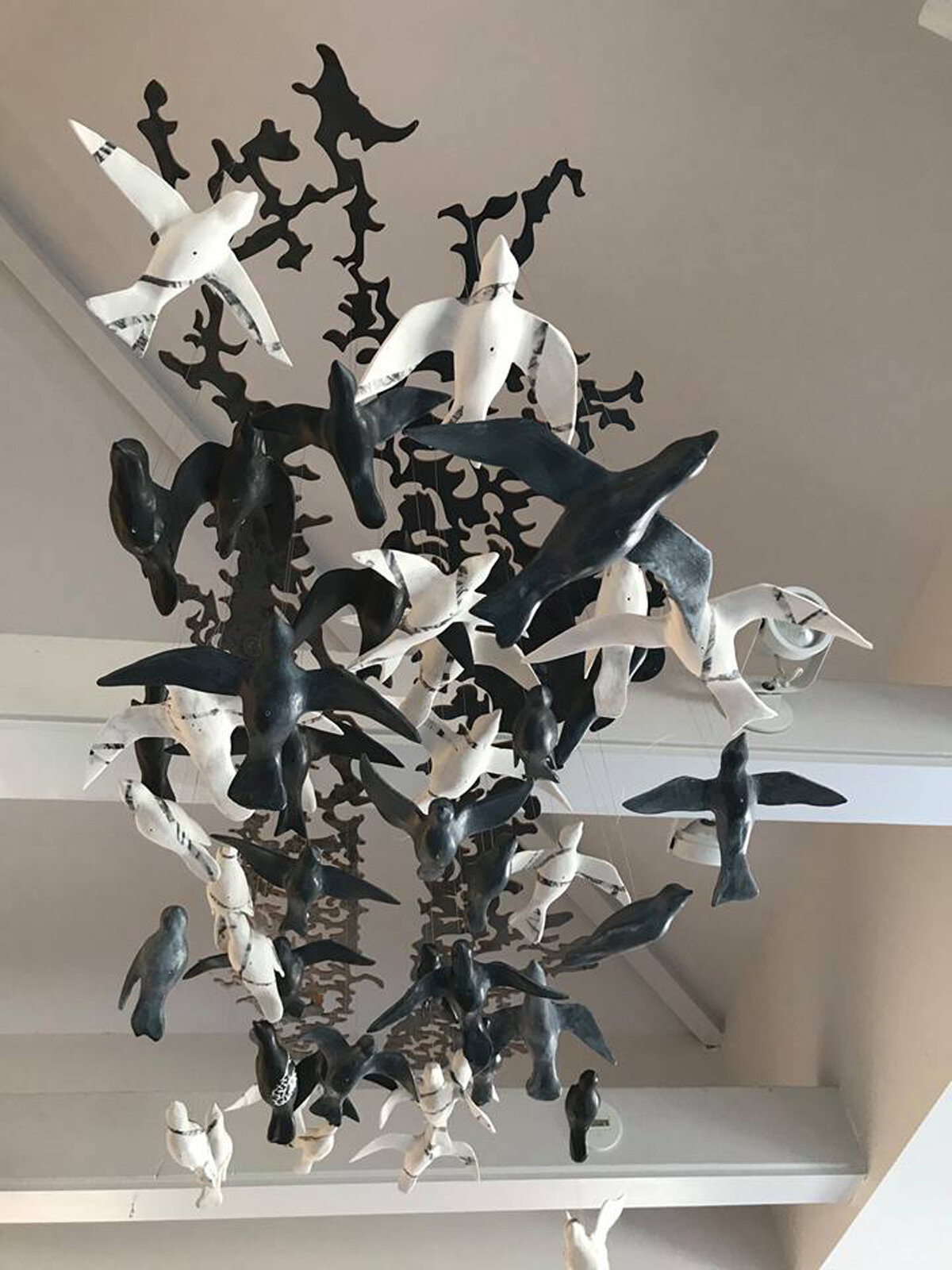 Flock with Cloud