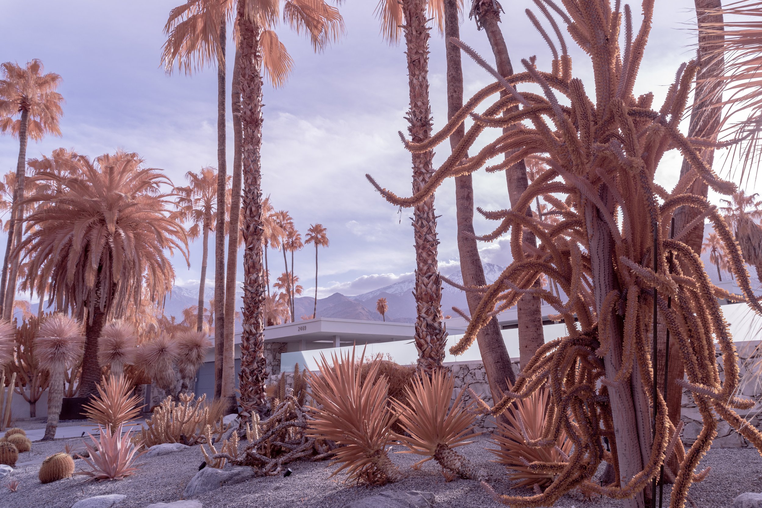 TM-PALM-SPRINGS-CHROME-2-REDUCED.jpg