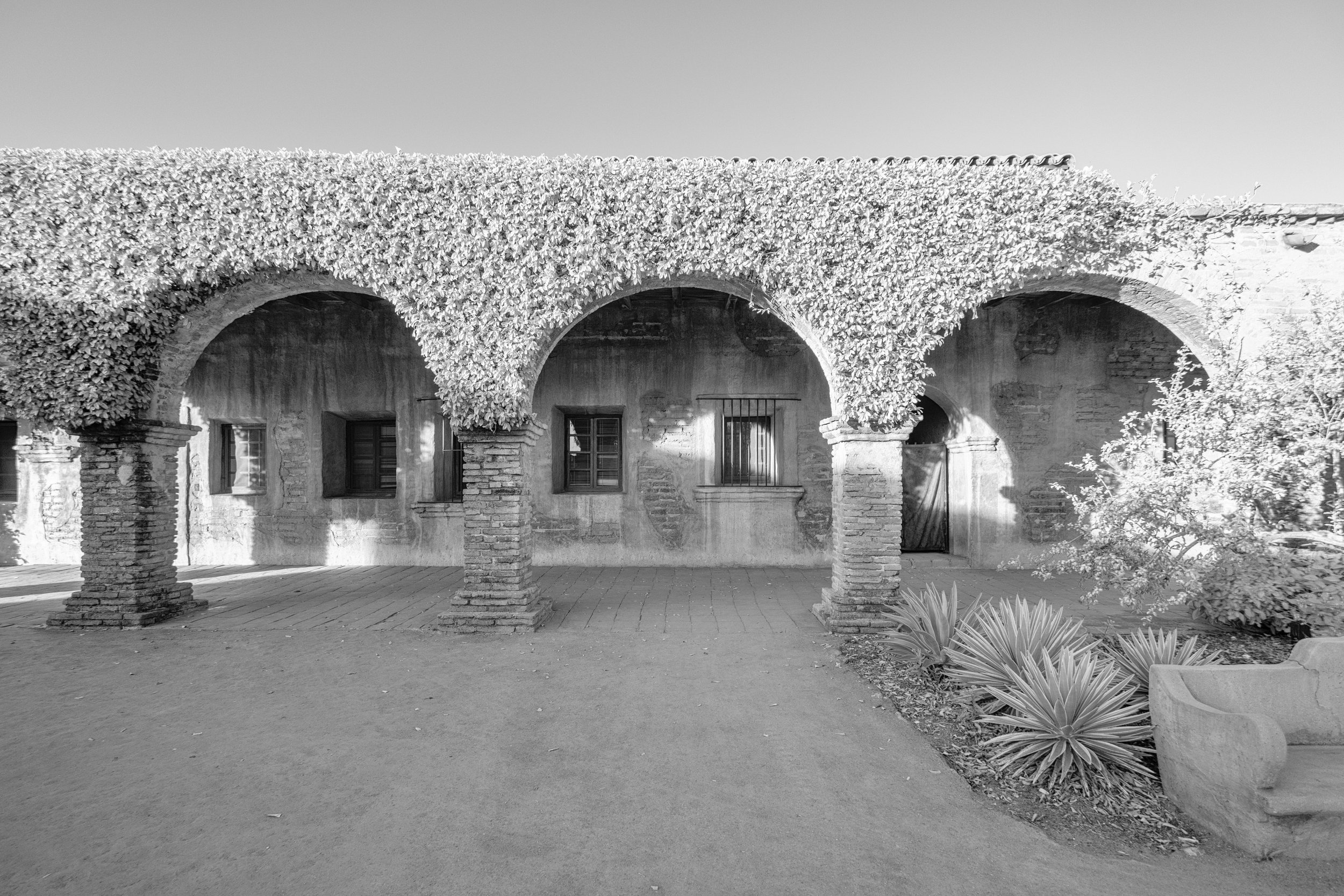 TM-MSJC-13-BW .jpg