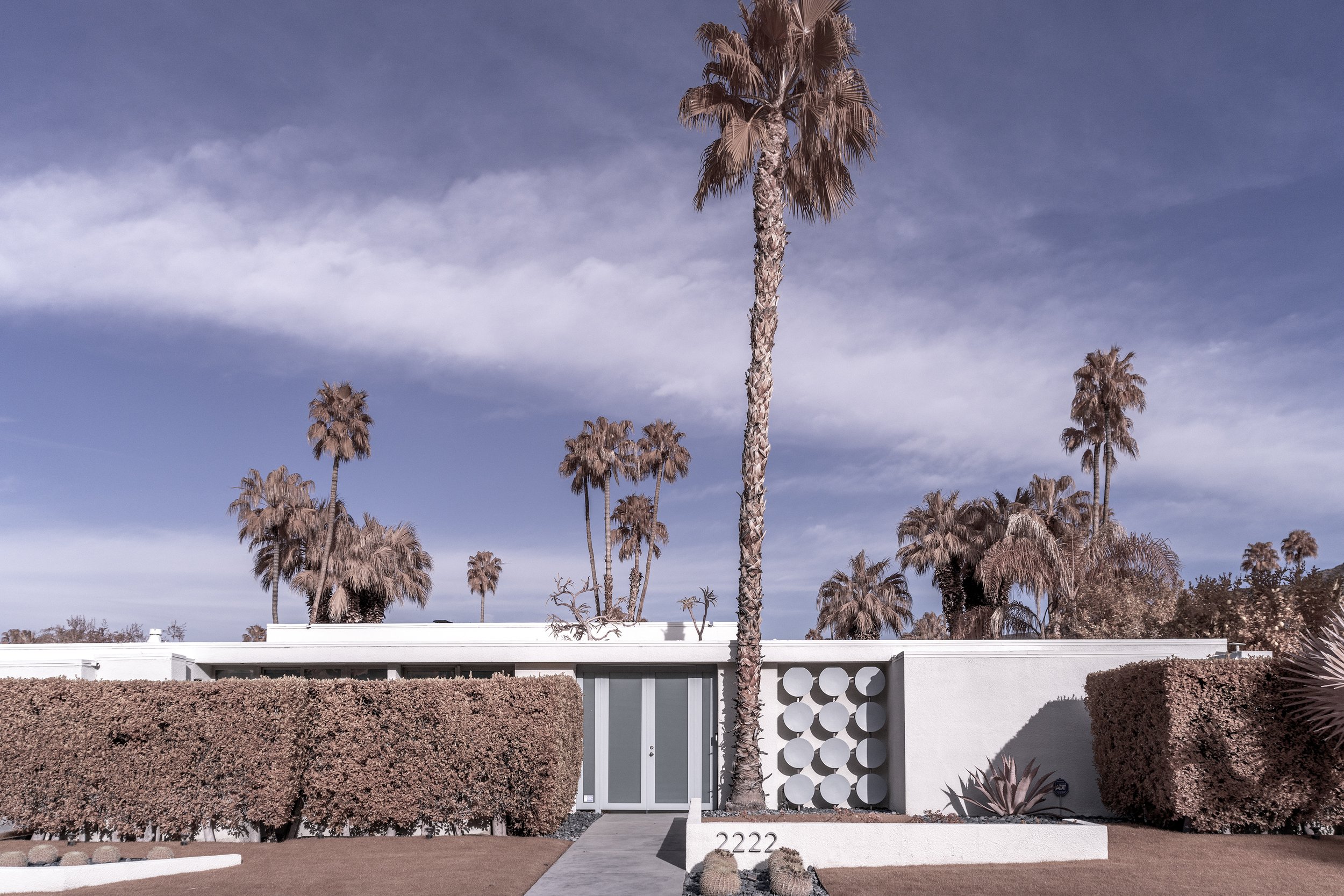 TM-PALM-SPRINGS-CHROME-1-REDUCED.jpg