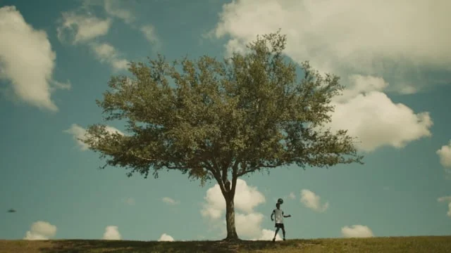 MILO_TIN_EDIT_v11_LONGFORM_HD