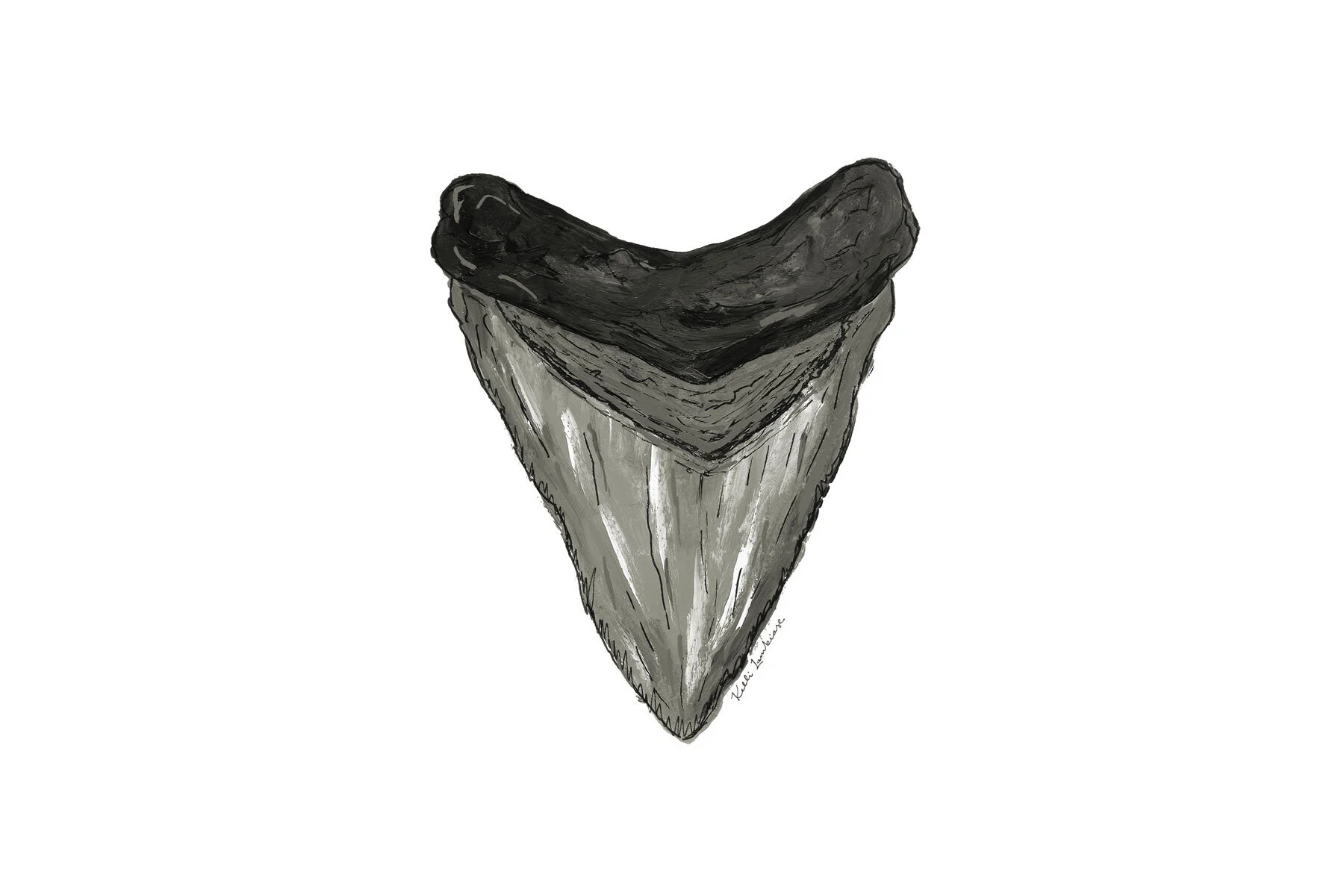 megaldon.jpg