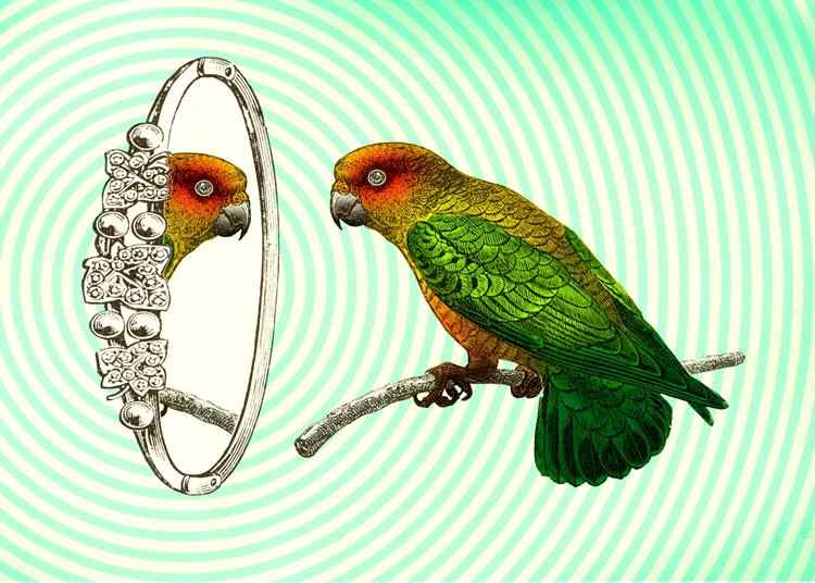 LostBird_1.jpg