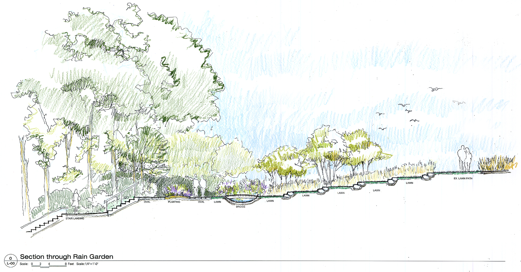 HS Park-Raingarden section sketch.jpg