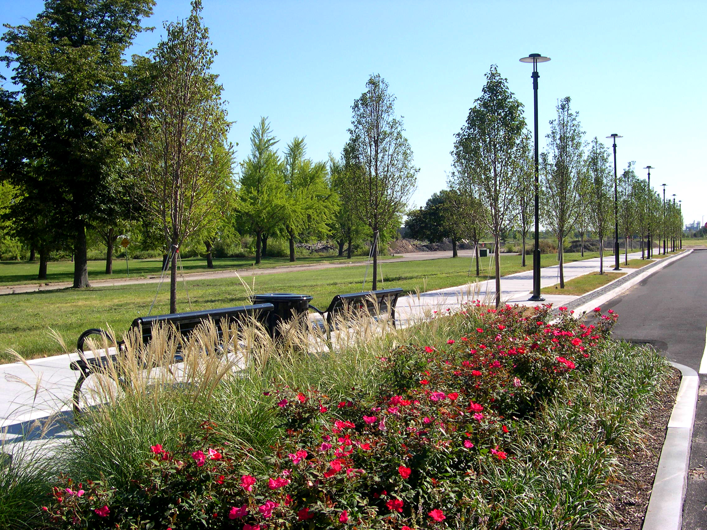 DSCN3016.jpg