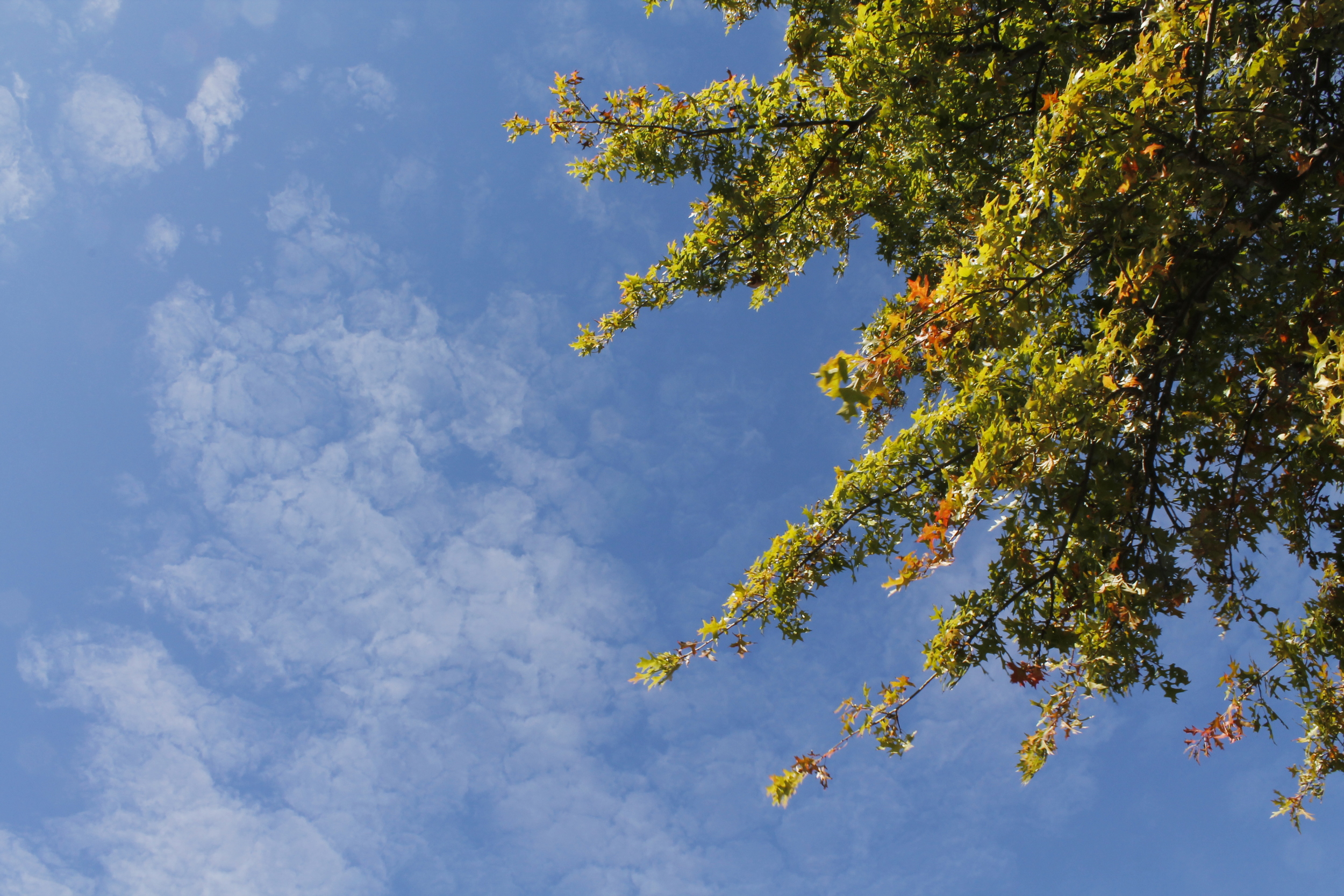 Beautiful weather and wide-open prairie skies were a memorable piece of the trip