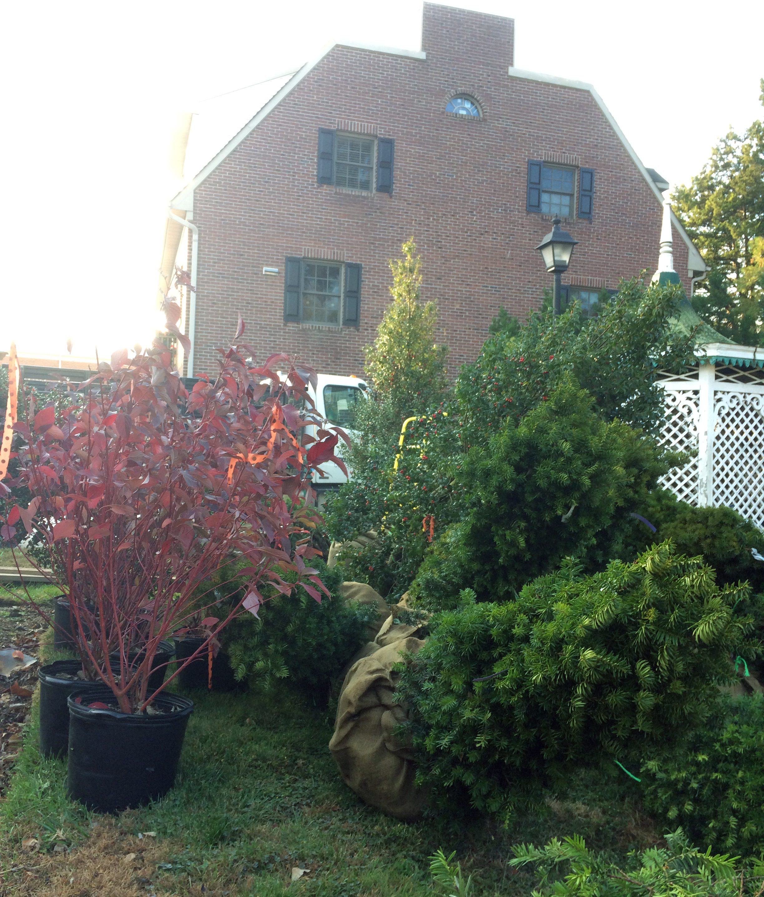 Planting materials
