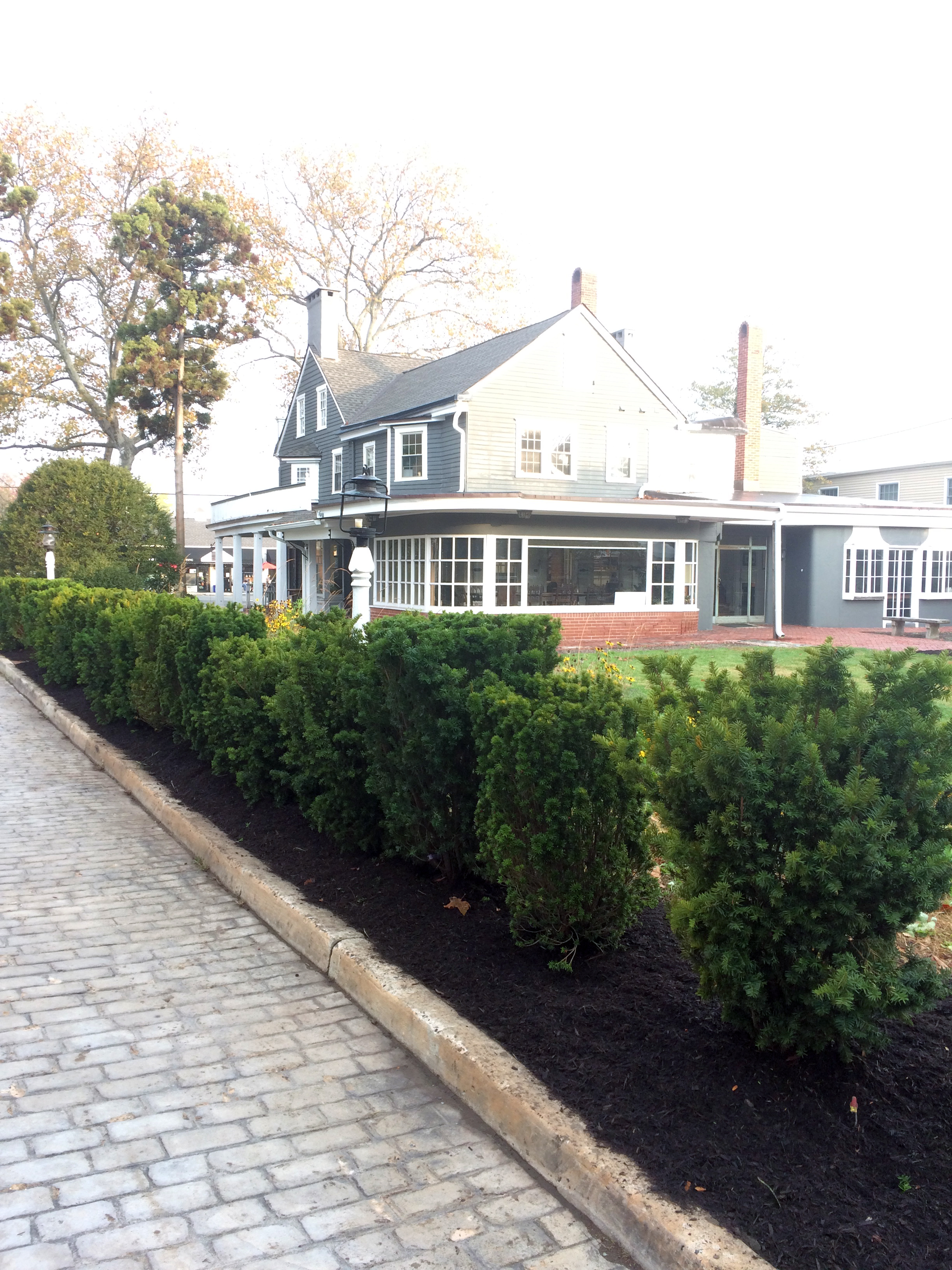 Hedge Row after