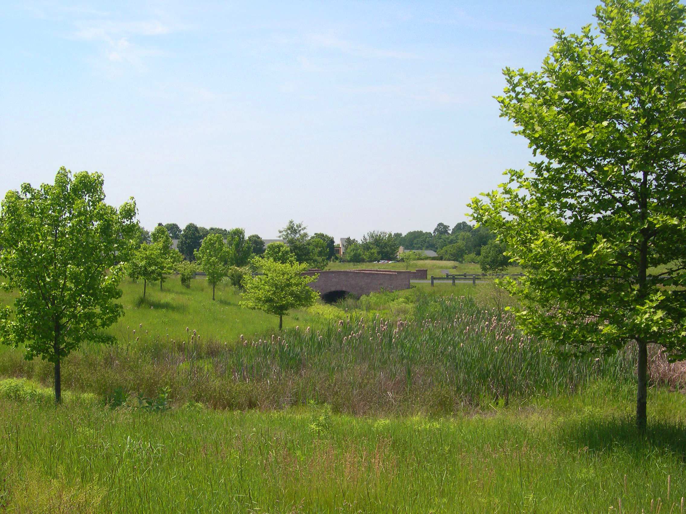 Pennswood-Bridge.jpg