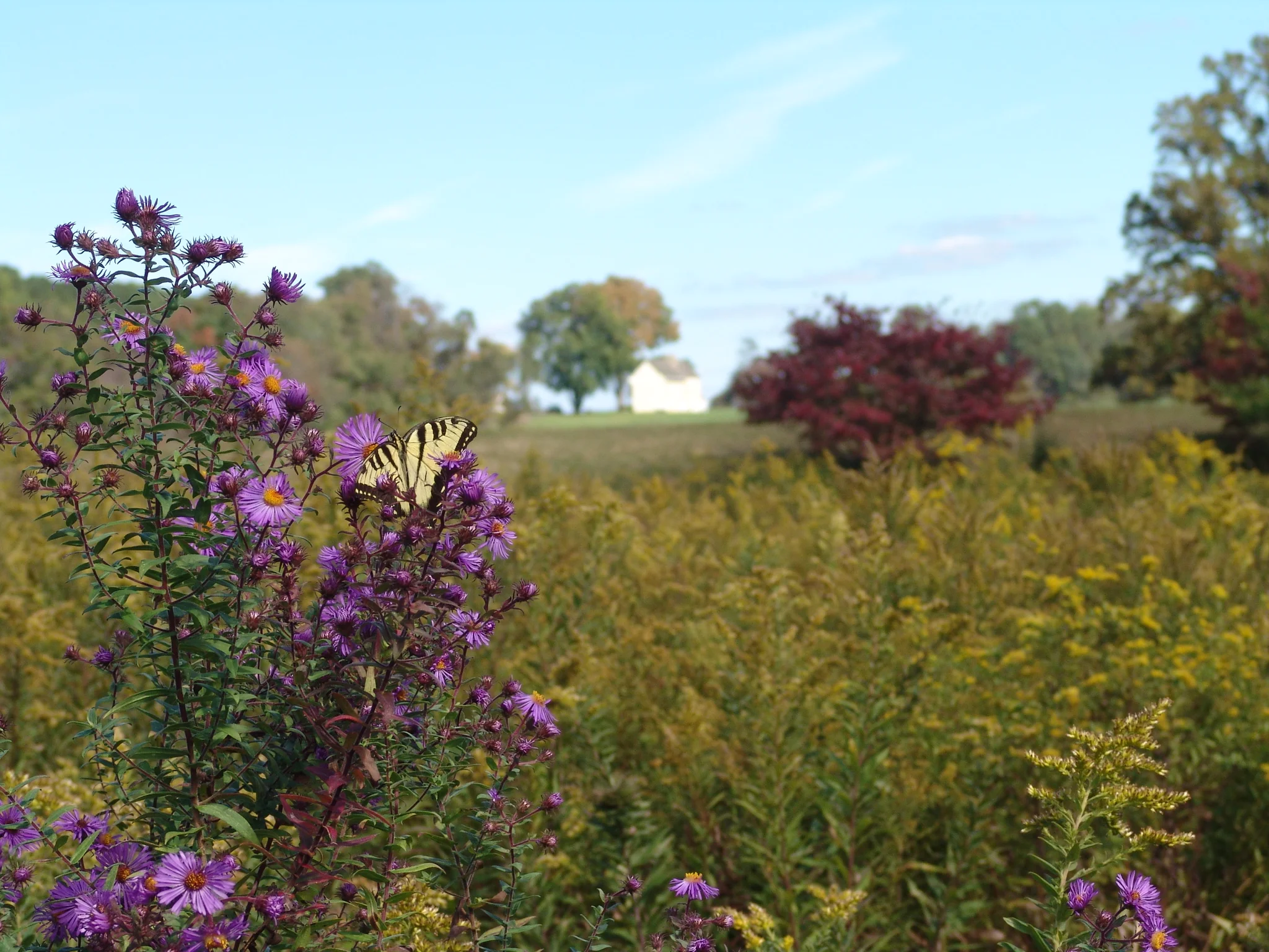 Webb Farm at Longwood Gardens, Kennett Square, PA
