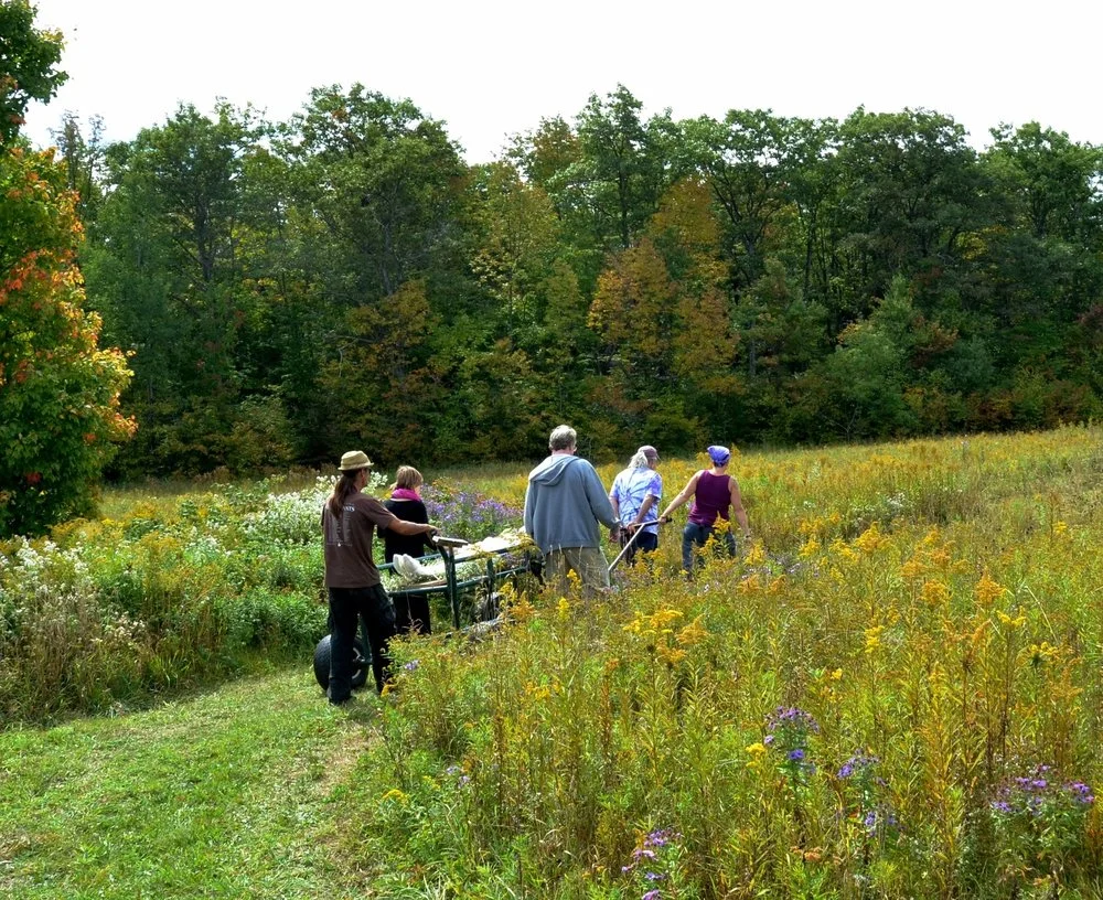 RURAL BURIAL FOR AN URBAN GARDENER 