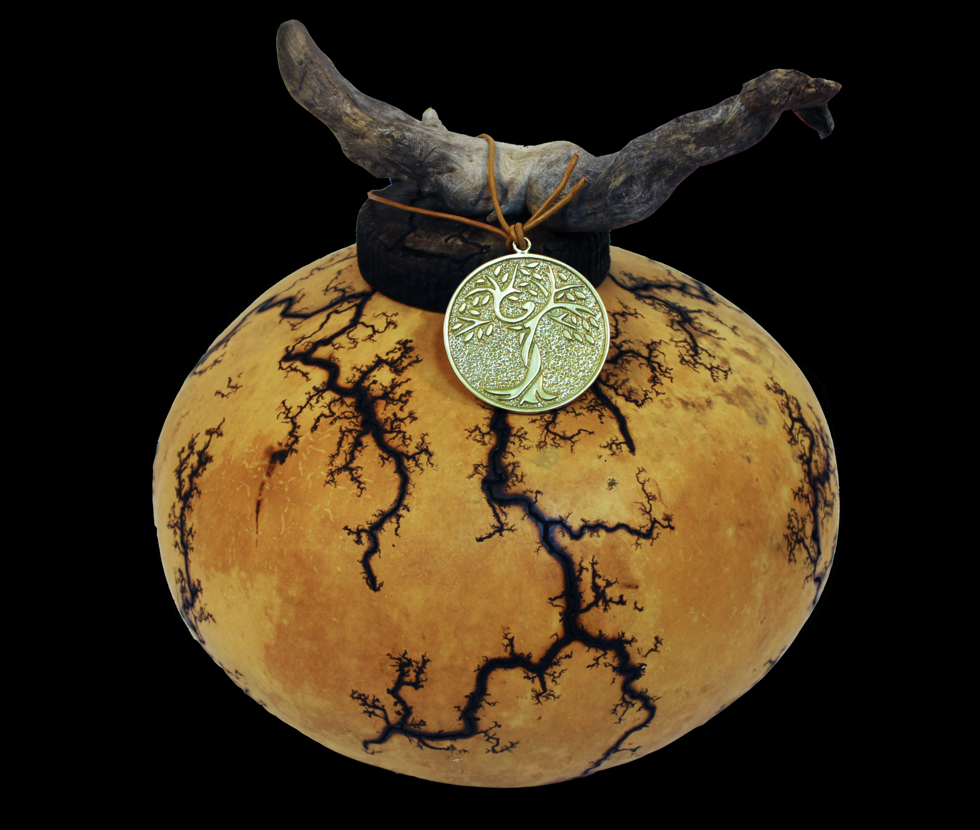 gourd-adult.png
