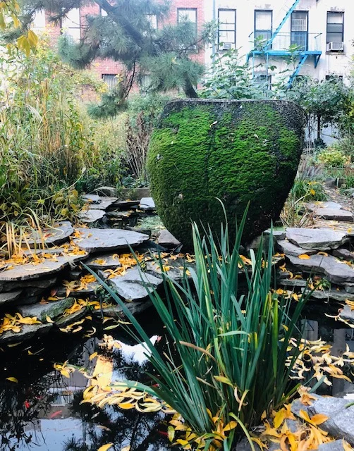 Above: One of Jackie Brookner’s living installations—a giant tongue called Prima Lingua installed in La Plaza Cultural Community Garden on East 9th St and Ave C in Manhattan, made before her illness, and the kind of tribute to nature and the sensory realms for which she was renowned.