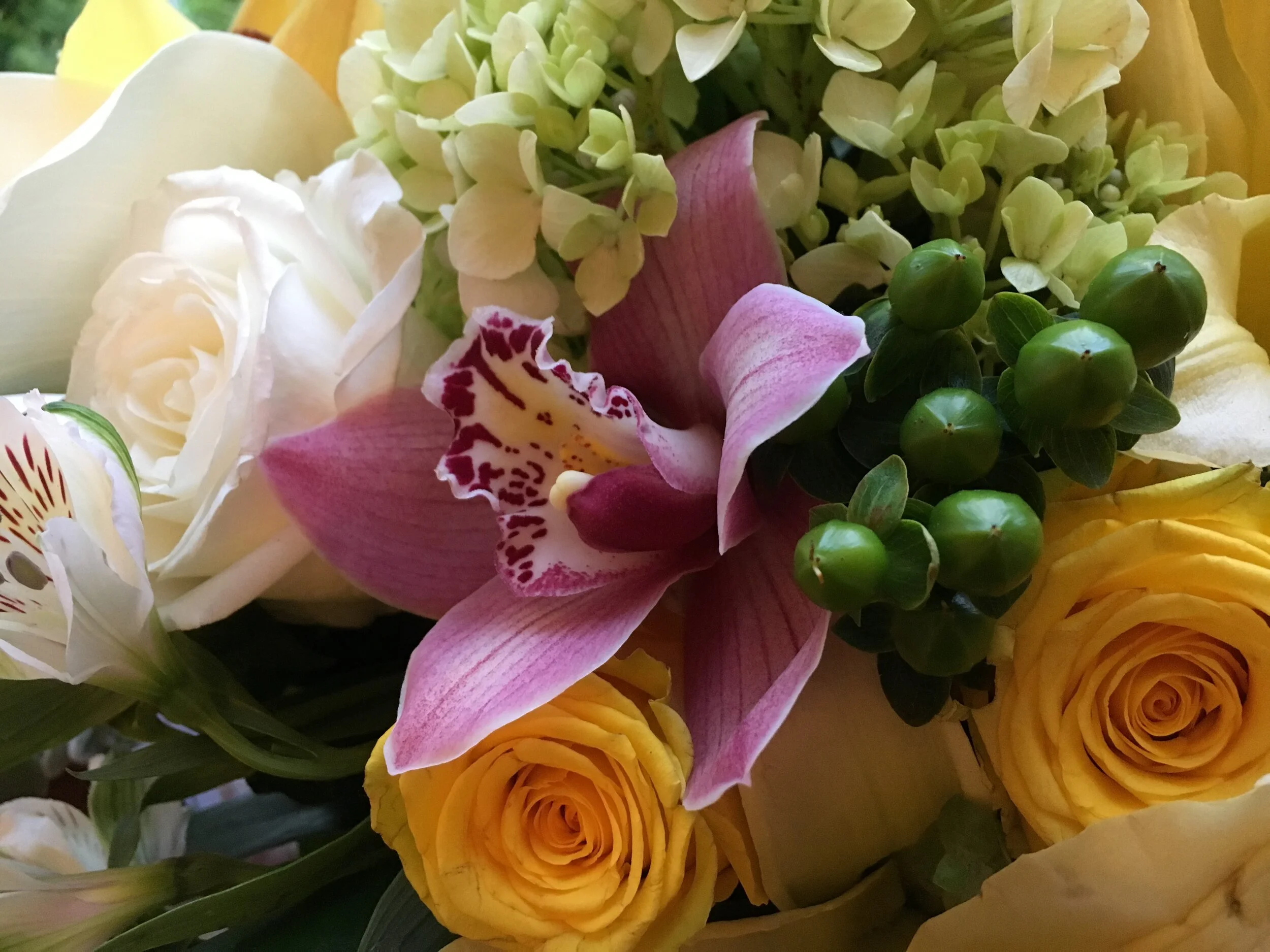 Thoughtful Funerals, Green Burials, Memorial Events