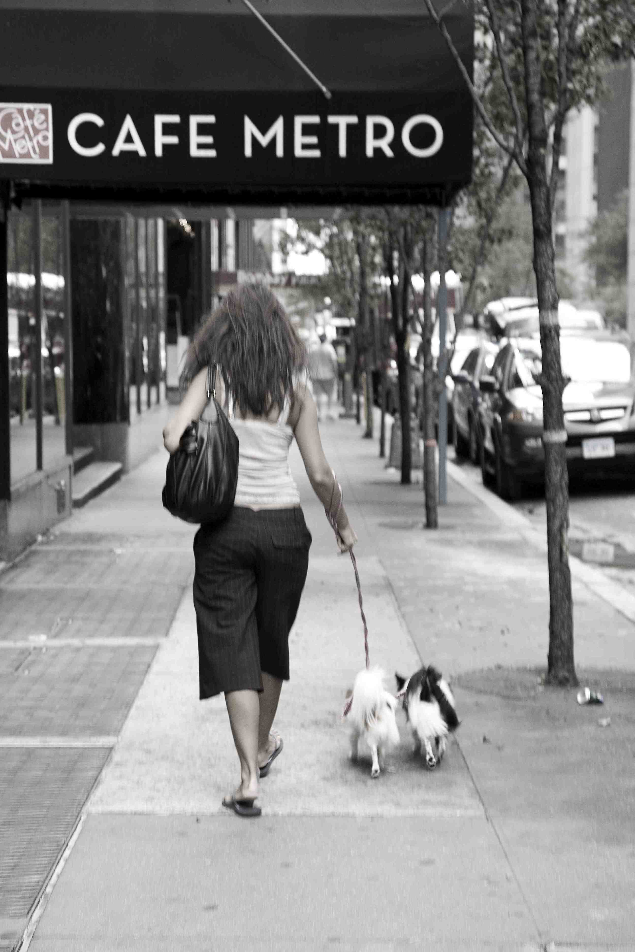 W-Woman Walking Dogs 1A Color.jpg