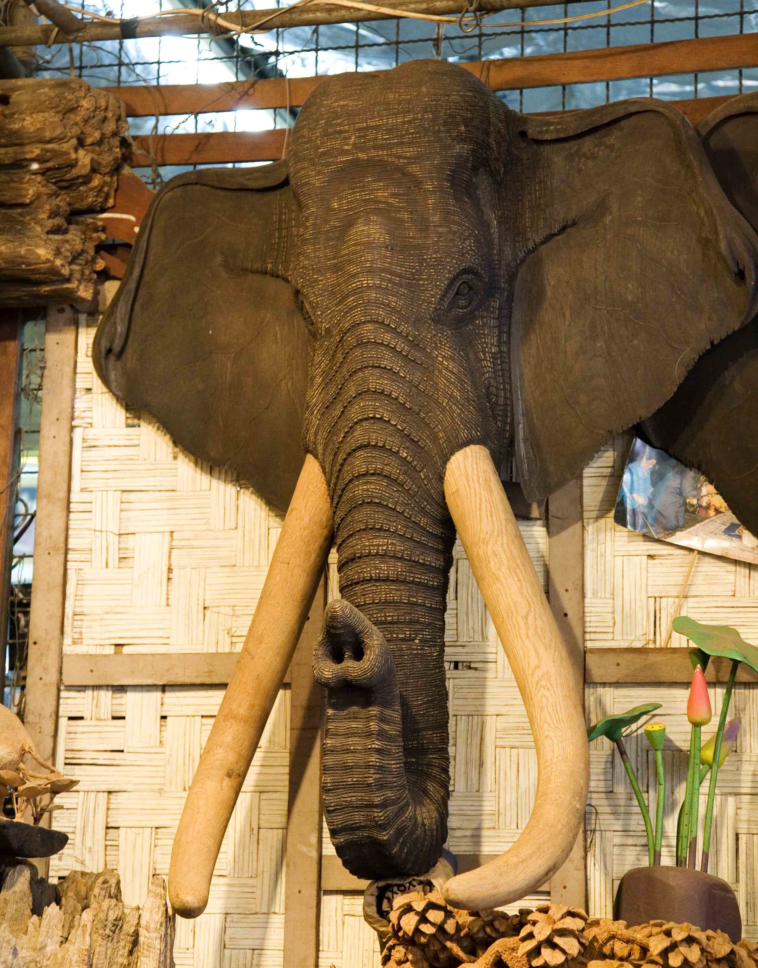 A-Wood Carved Elephant 1A 11x14.jpg