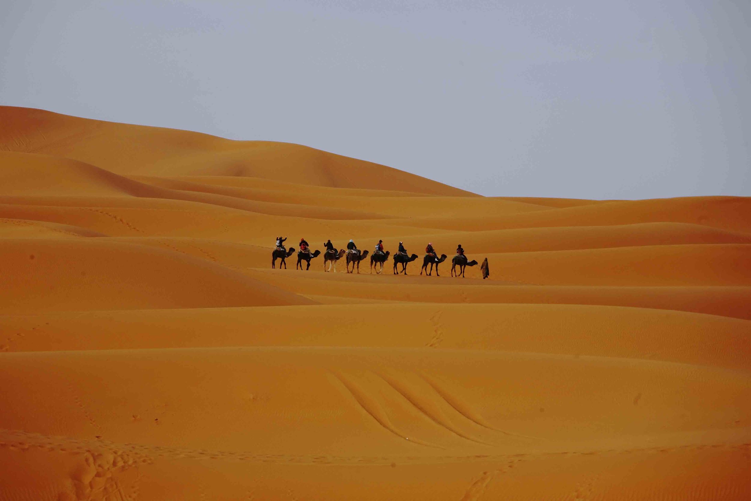 A-Desert Camel Train 1A.jpg