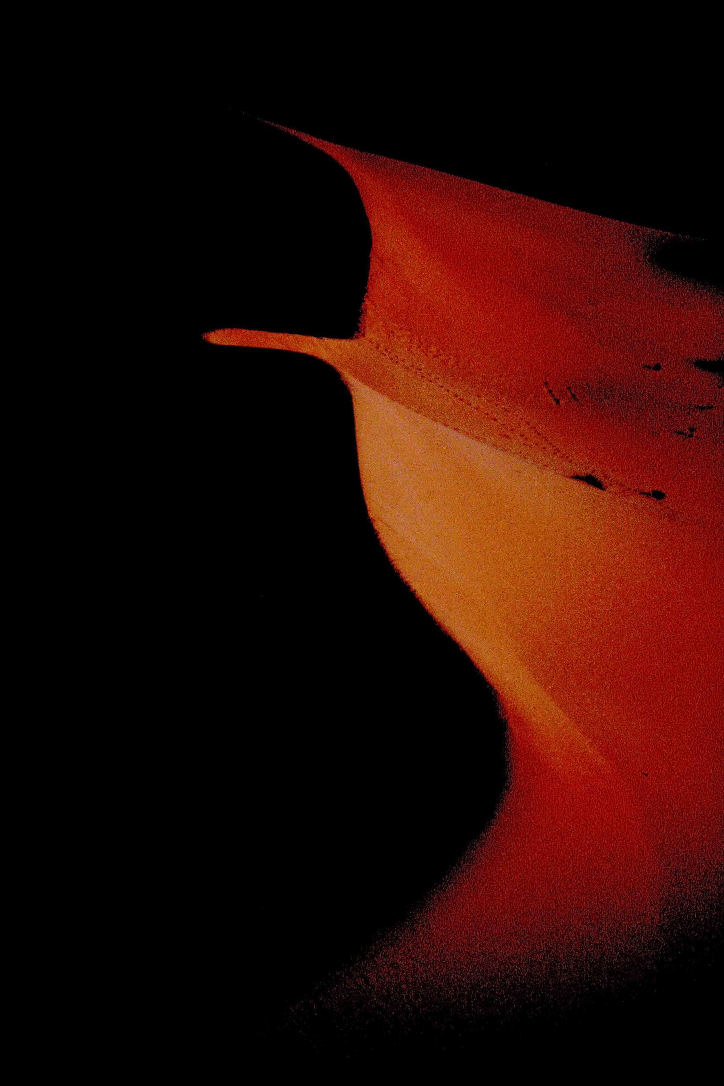 A-Desert Dune At Night 2A.jpg