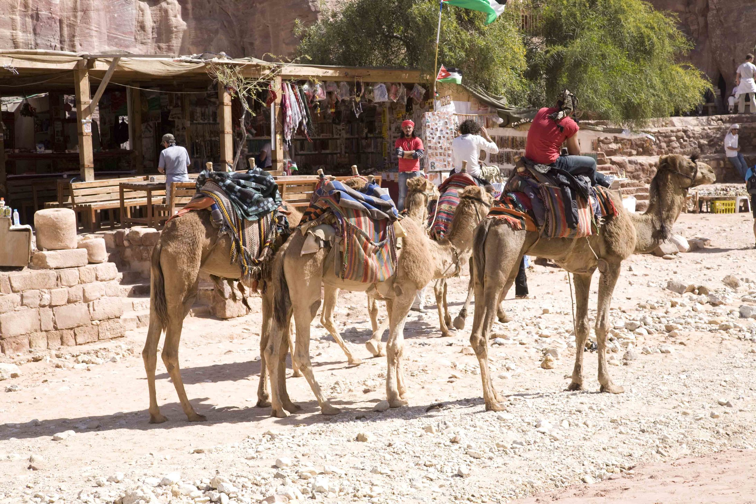 A-Camel Ride 1A.jpg
