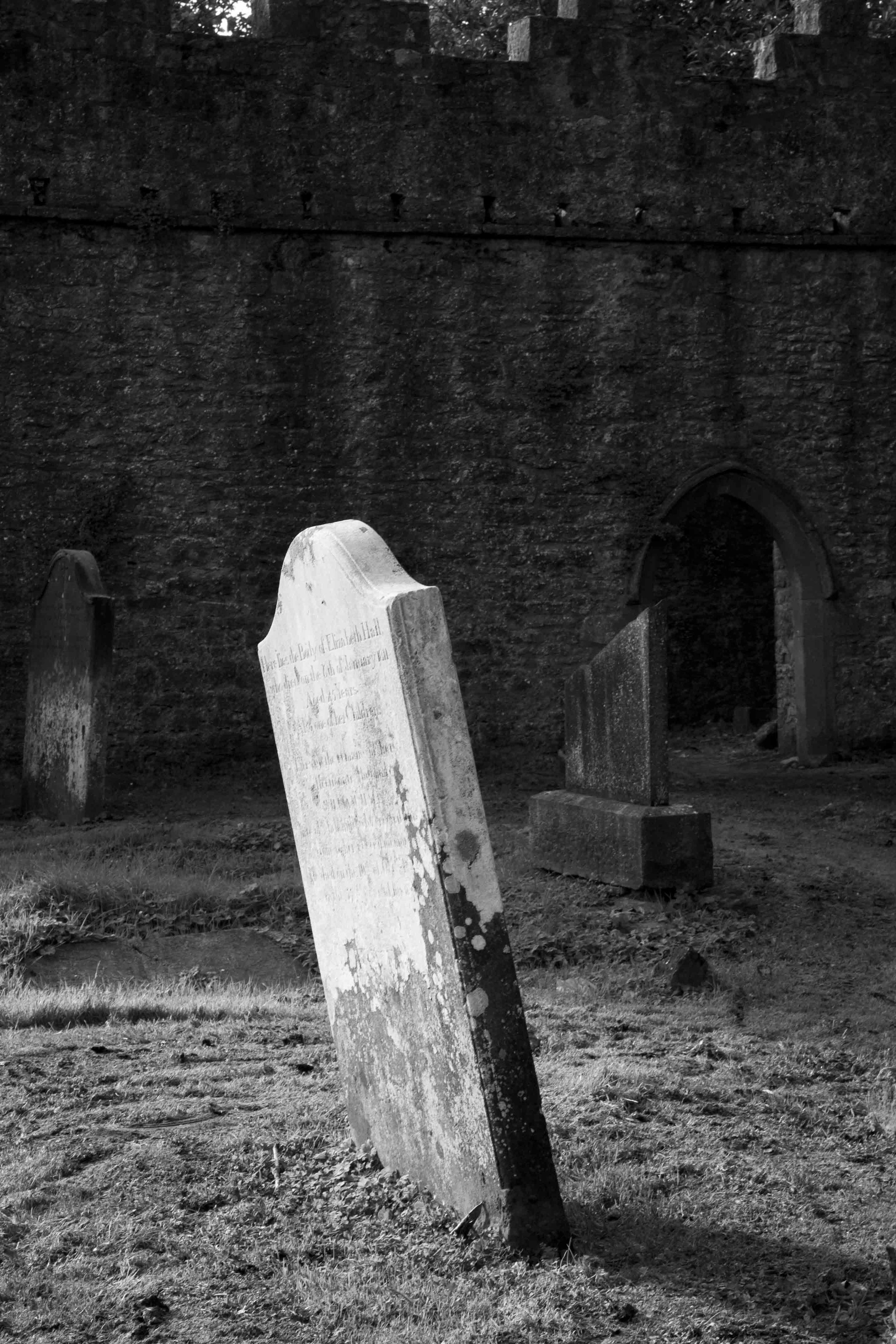 Dublin Castle Head Stone 2 B&W.jpg