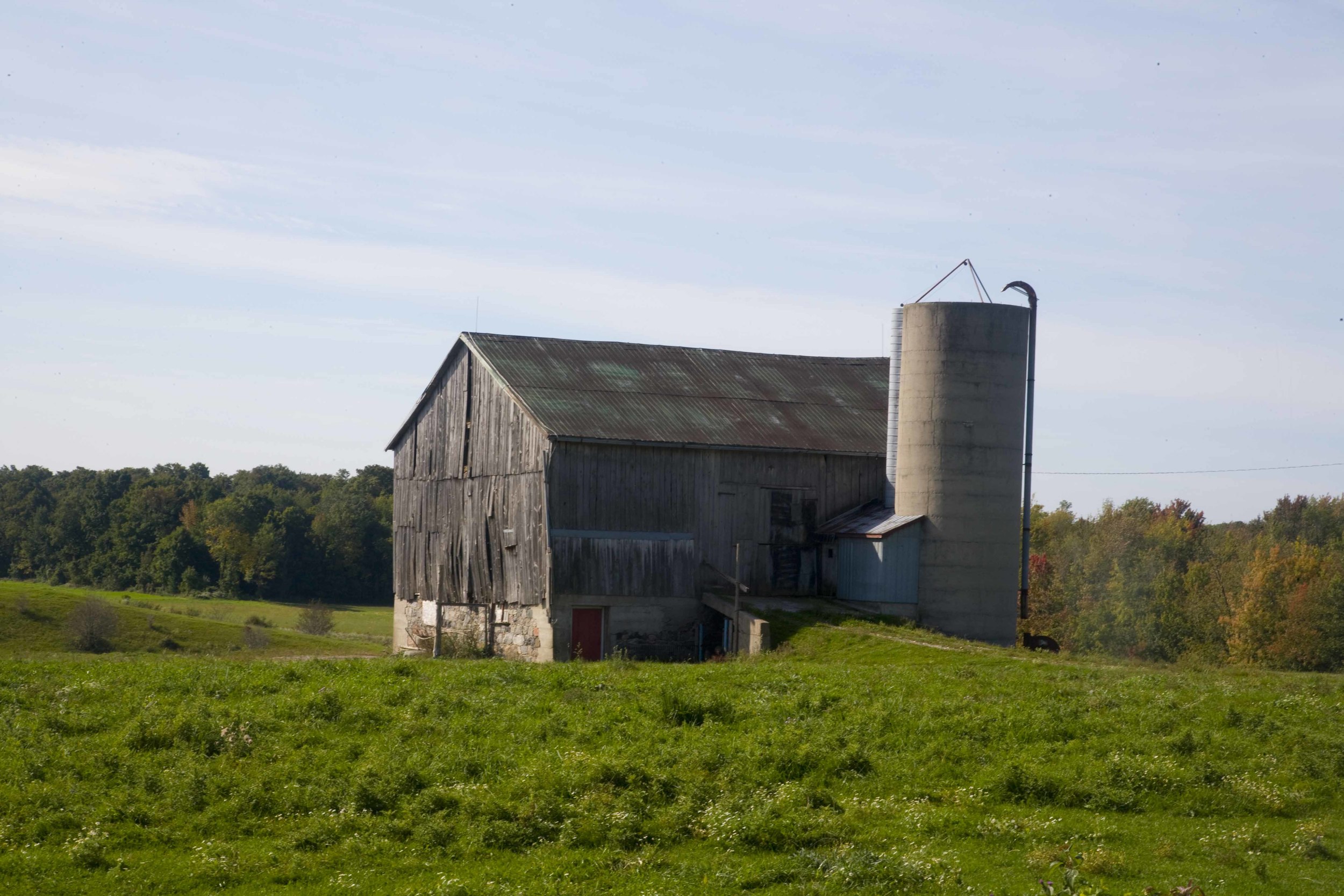 A-Barns 7.jpg