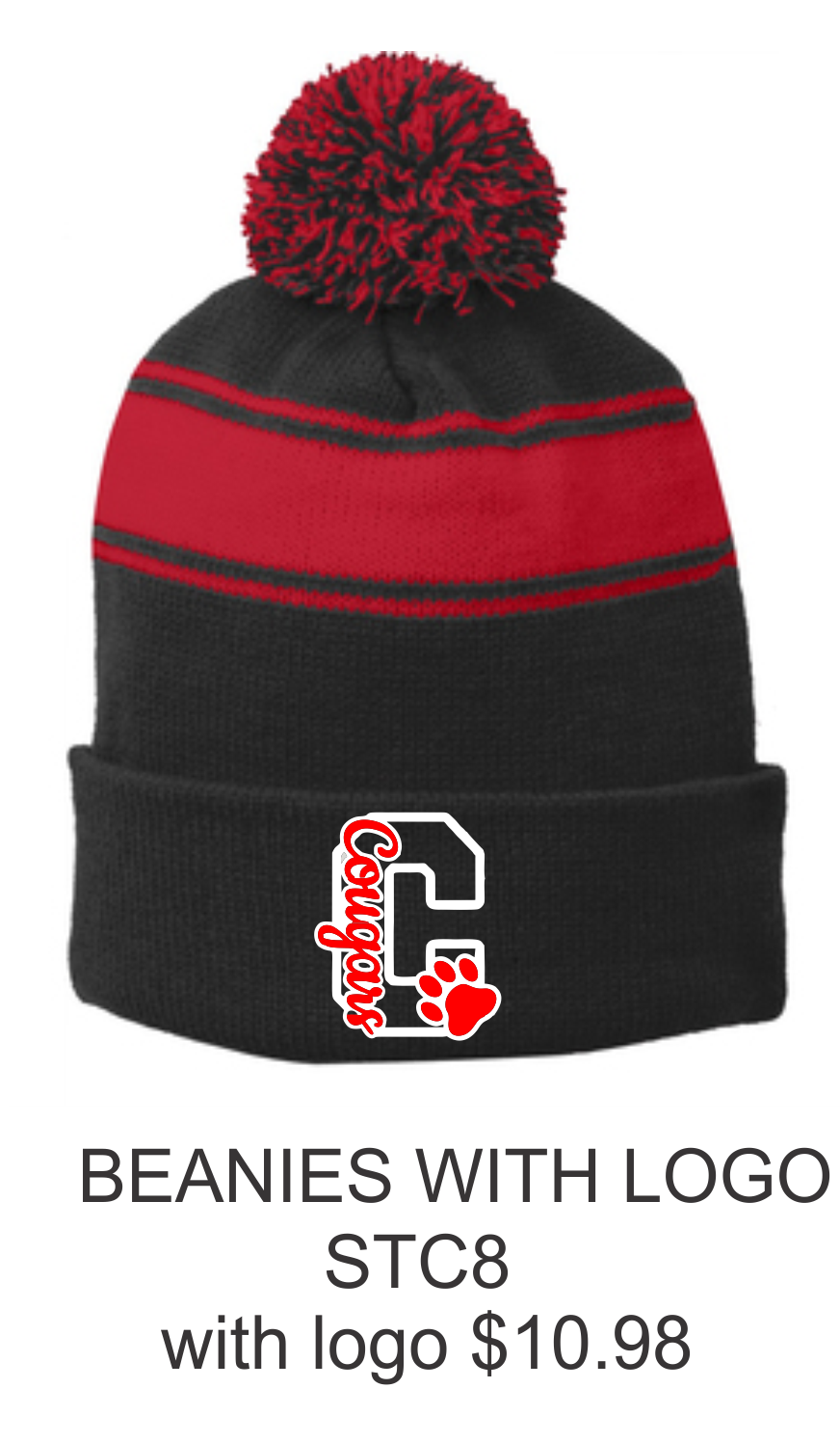 Beanies With Logo STC8.png