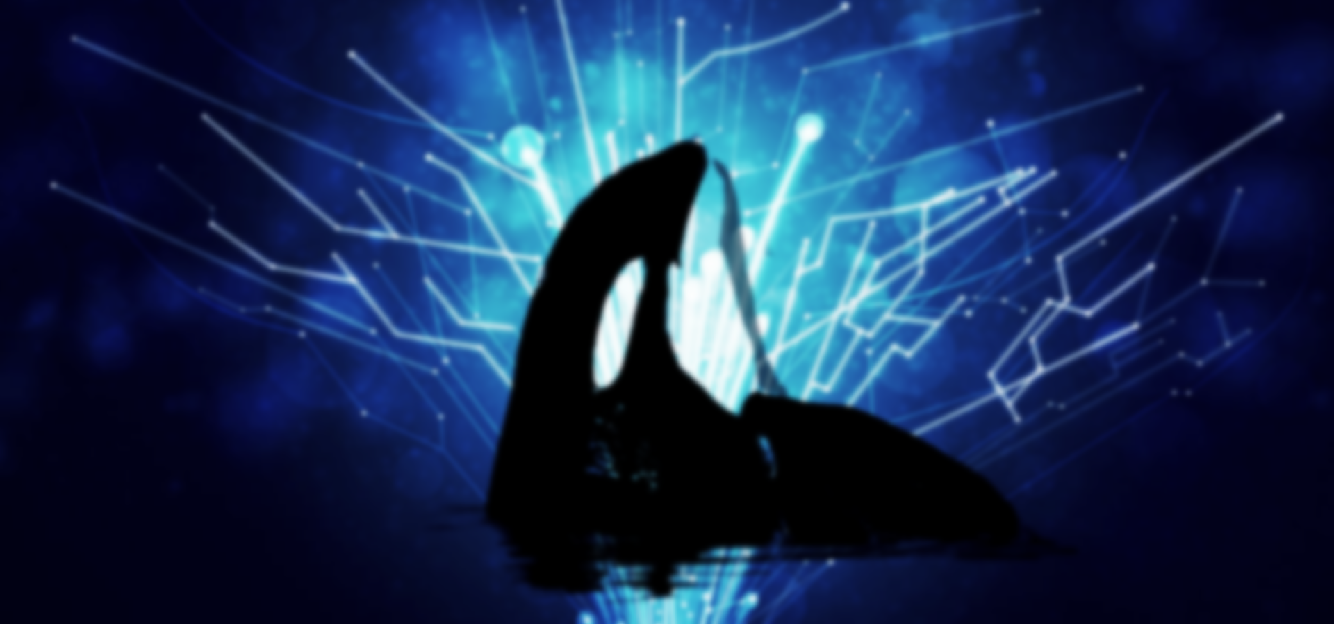 fiber-optics-spyhopbanner.png