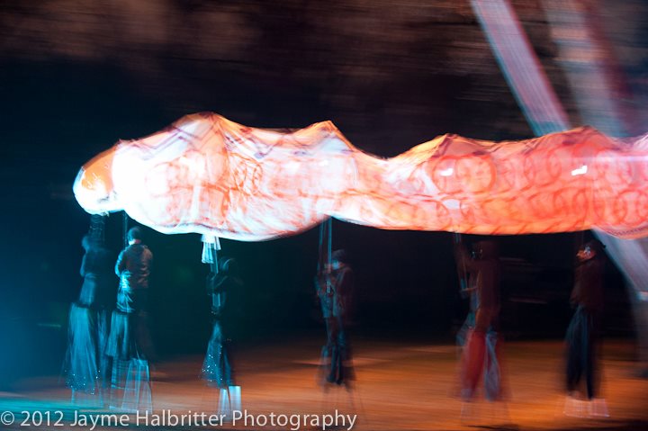 Giant Snake Lantern Puppet