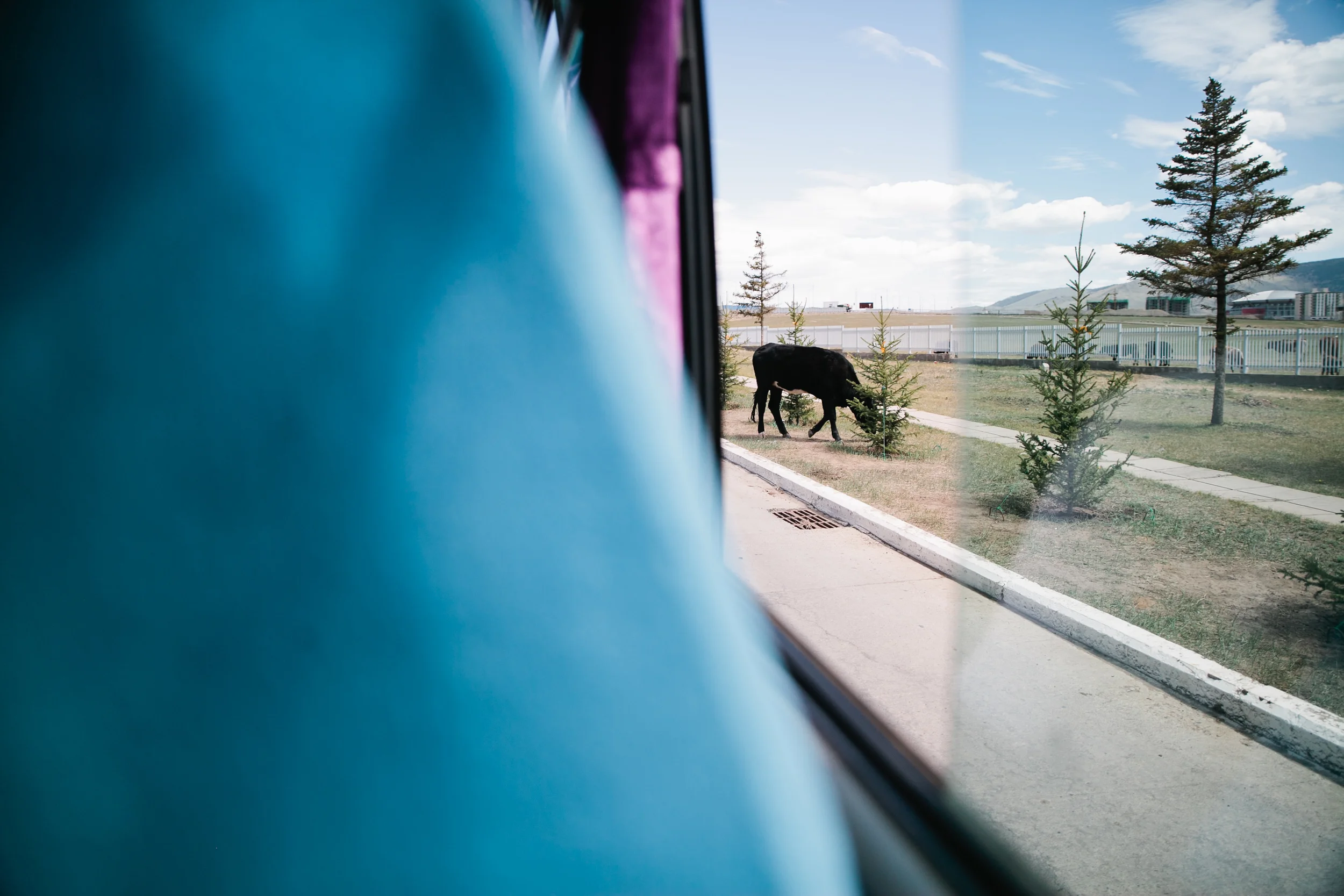 Mongolia-6.jpg