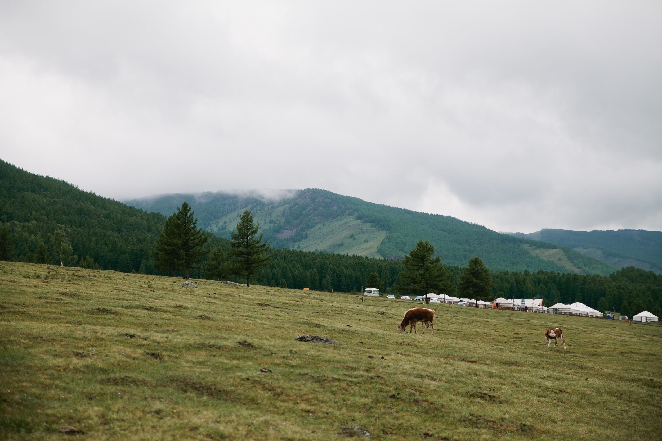 Mongolia-195.jpg