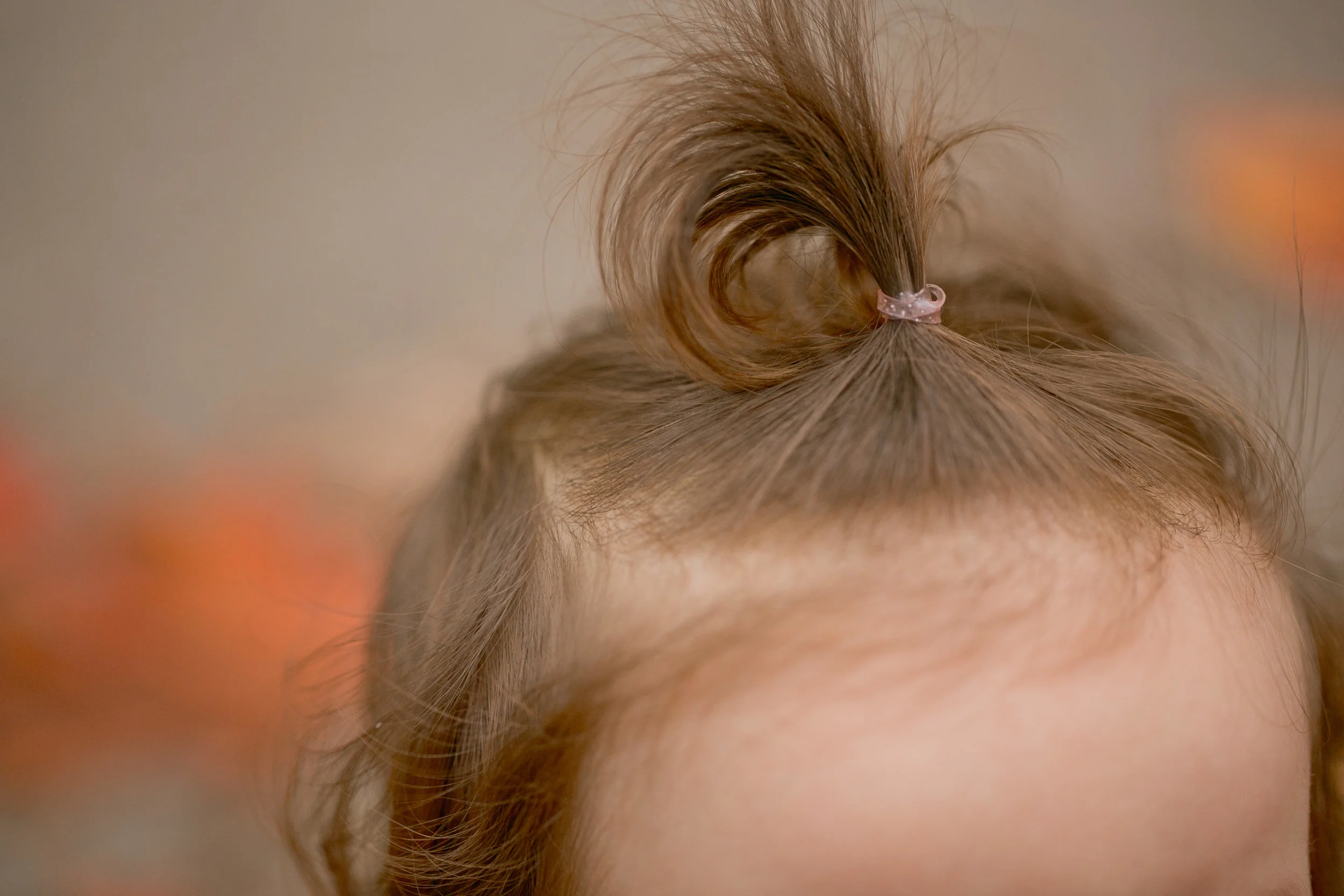 one year of lily // des moines maternity, newborn, family, and baby photographer