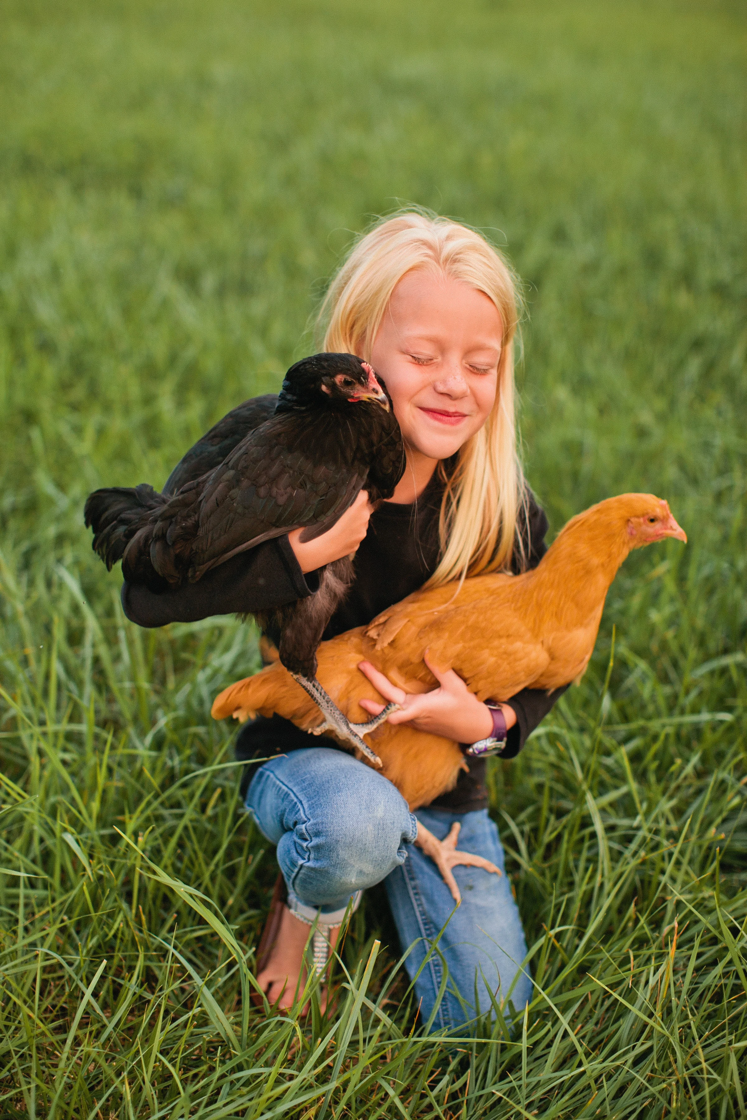 portrait of a young girl in backyard with chicken lifestyle family photos des moines