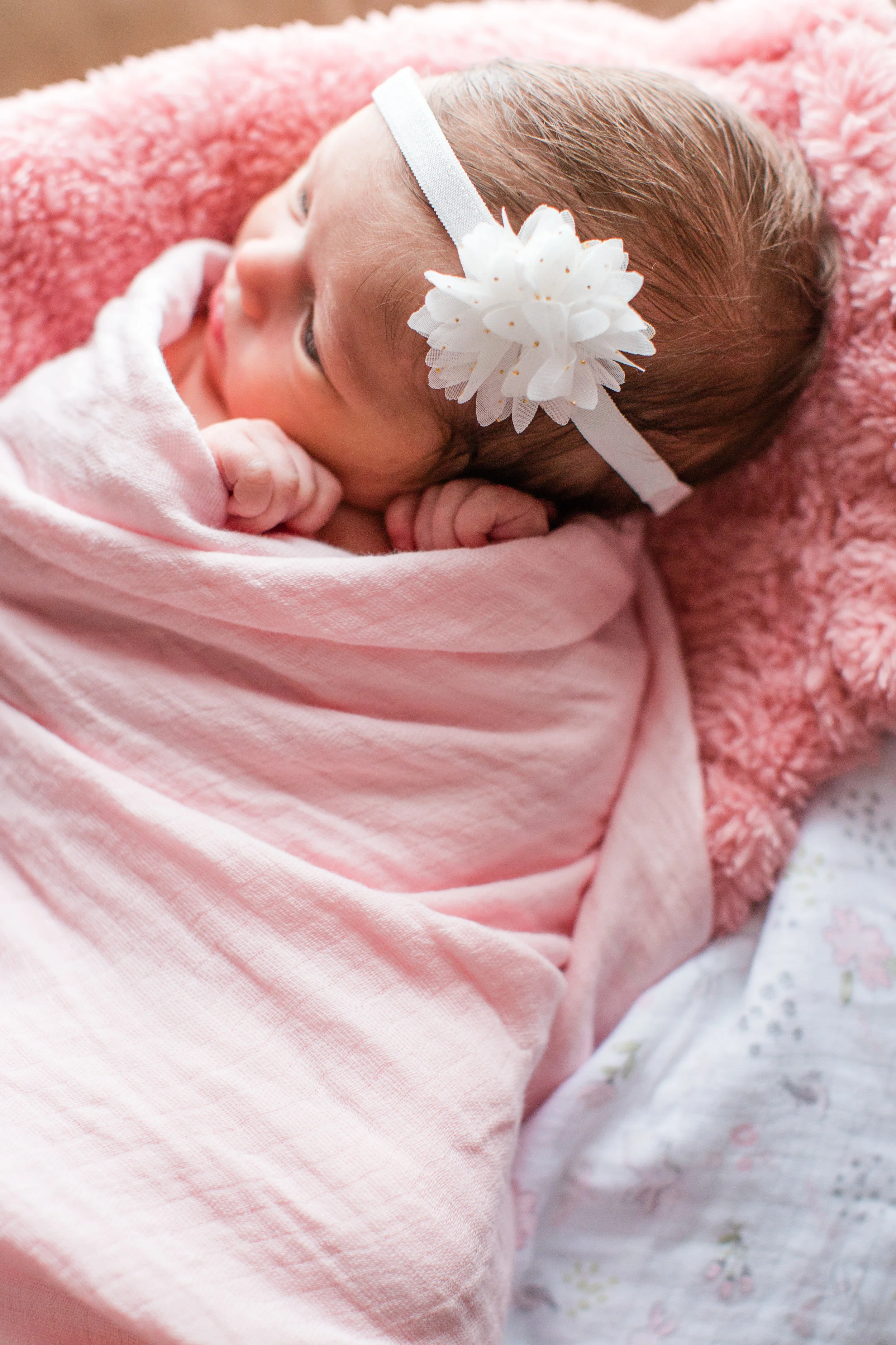 Amelia Renee Photography specializes in newborn , maternity, child and family photography in Des Moines , IA and surrounding areas!