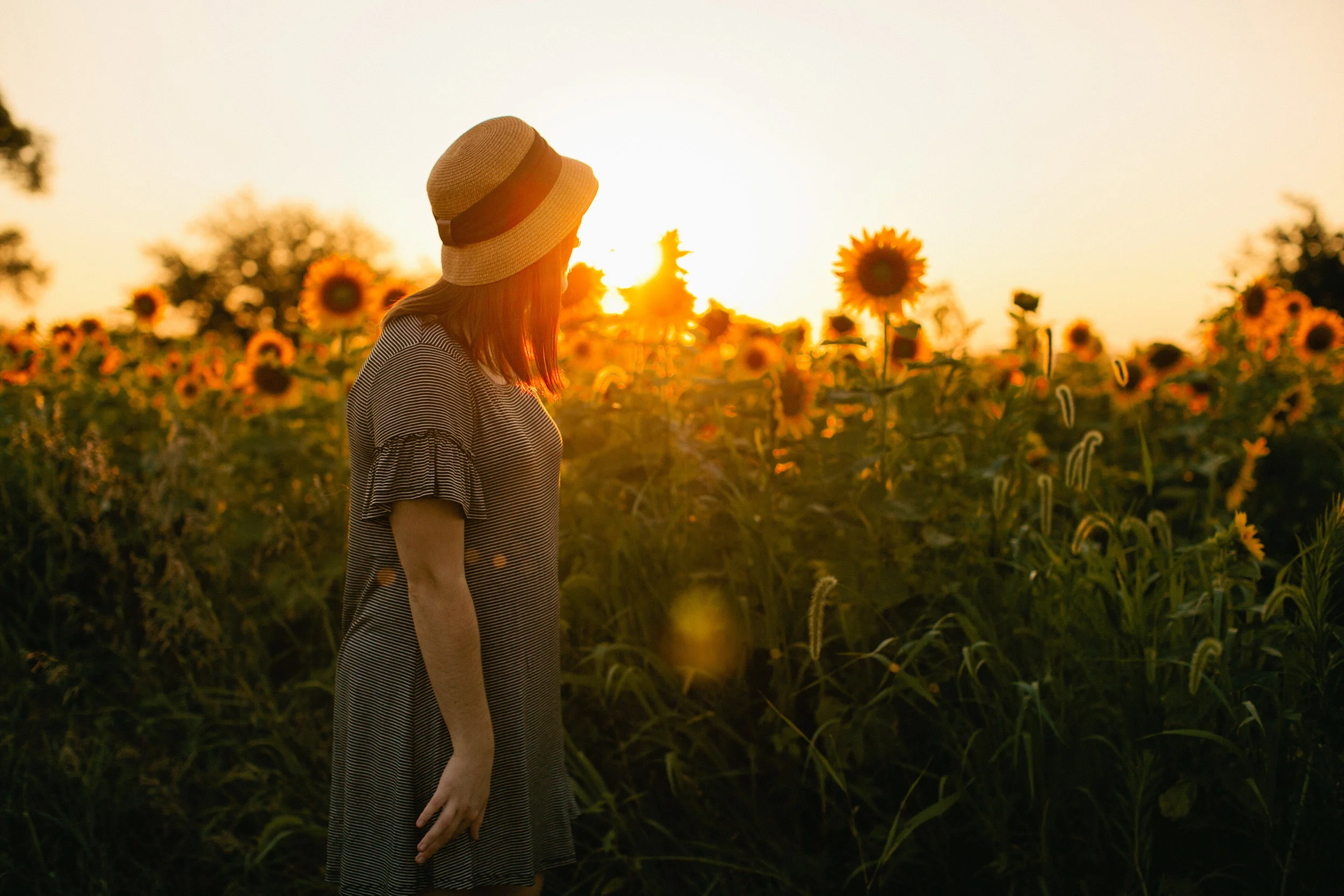 senior photos urbandale des Moines sunflowers