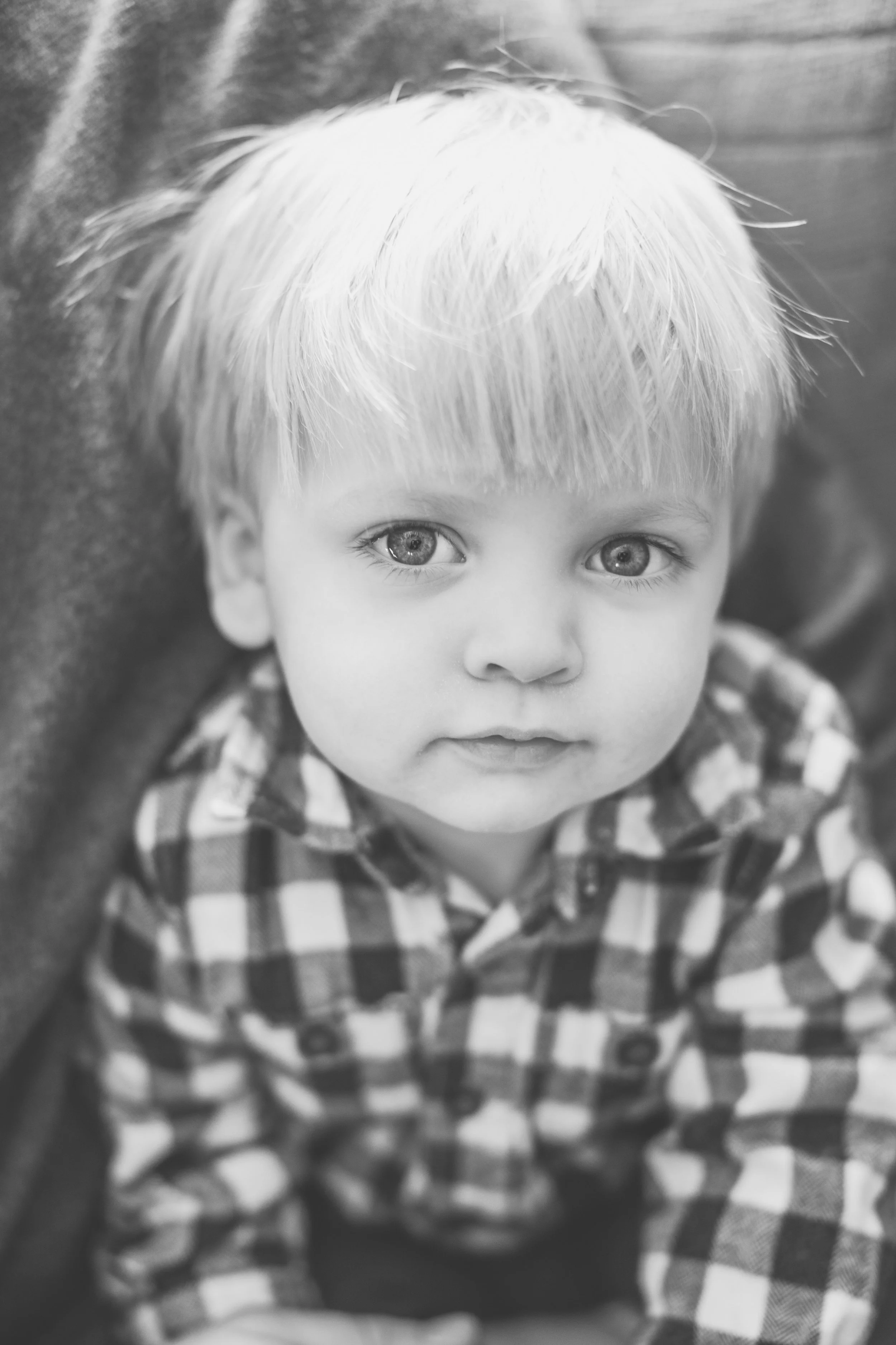 family photographer cedar falls Iowa cheap family pictures