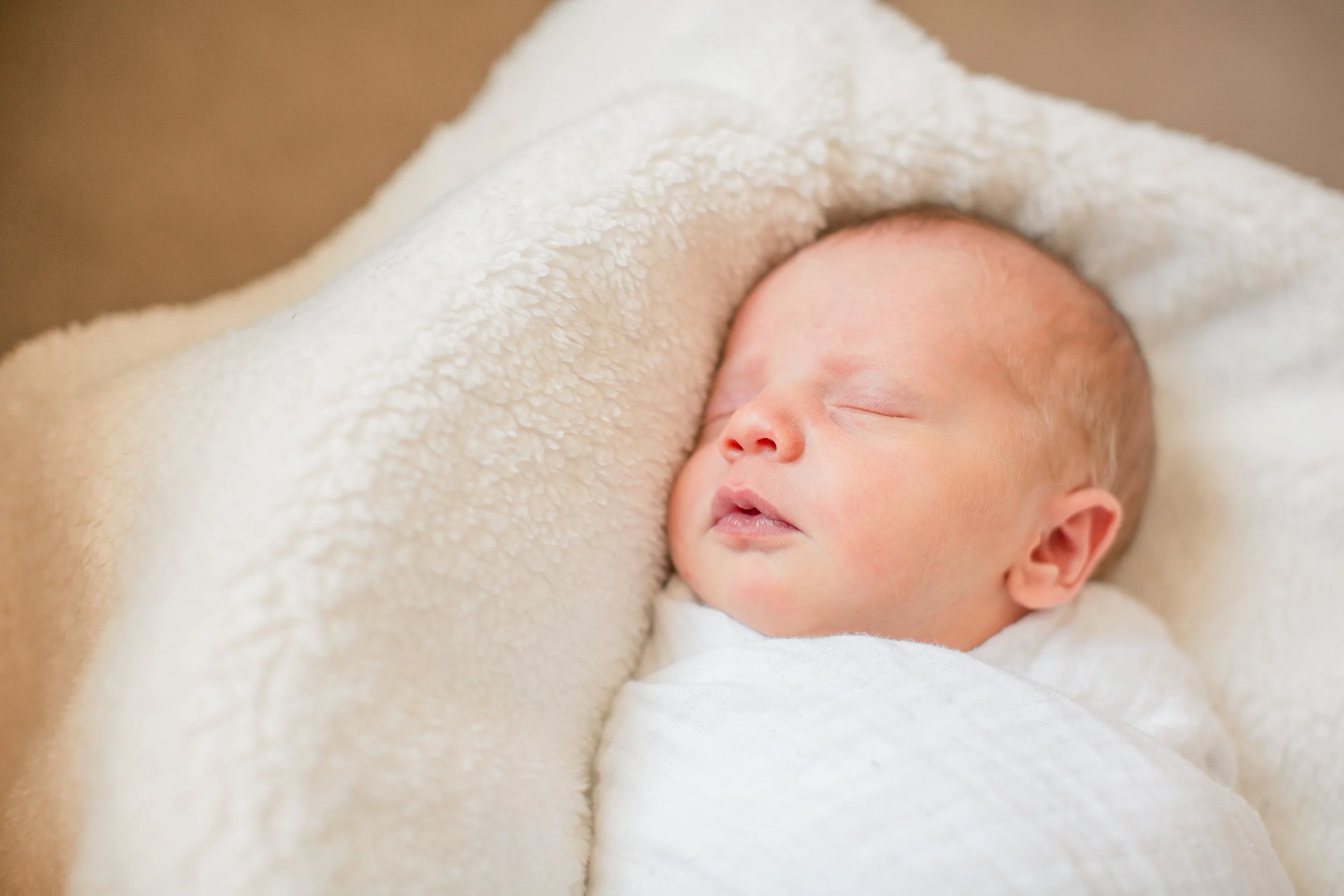 best newborn photographers des moines ankeny iowa