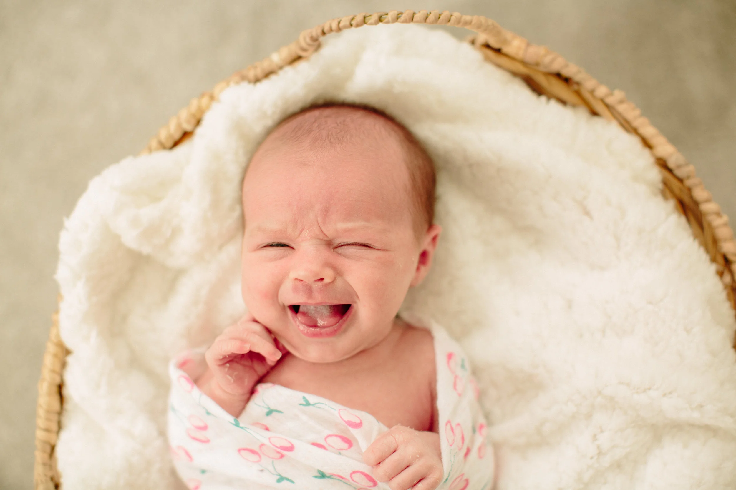 Des Moines Lifestyle Newborn Photographer