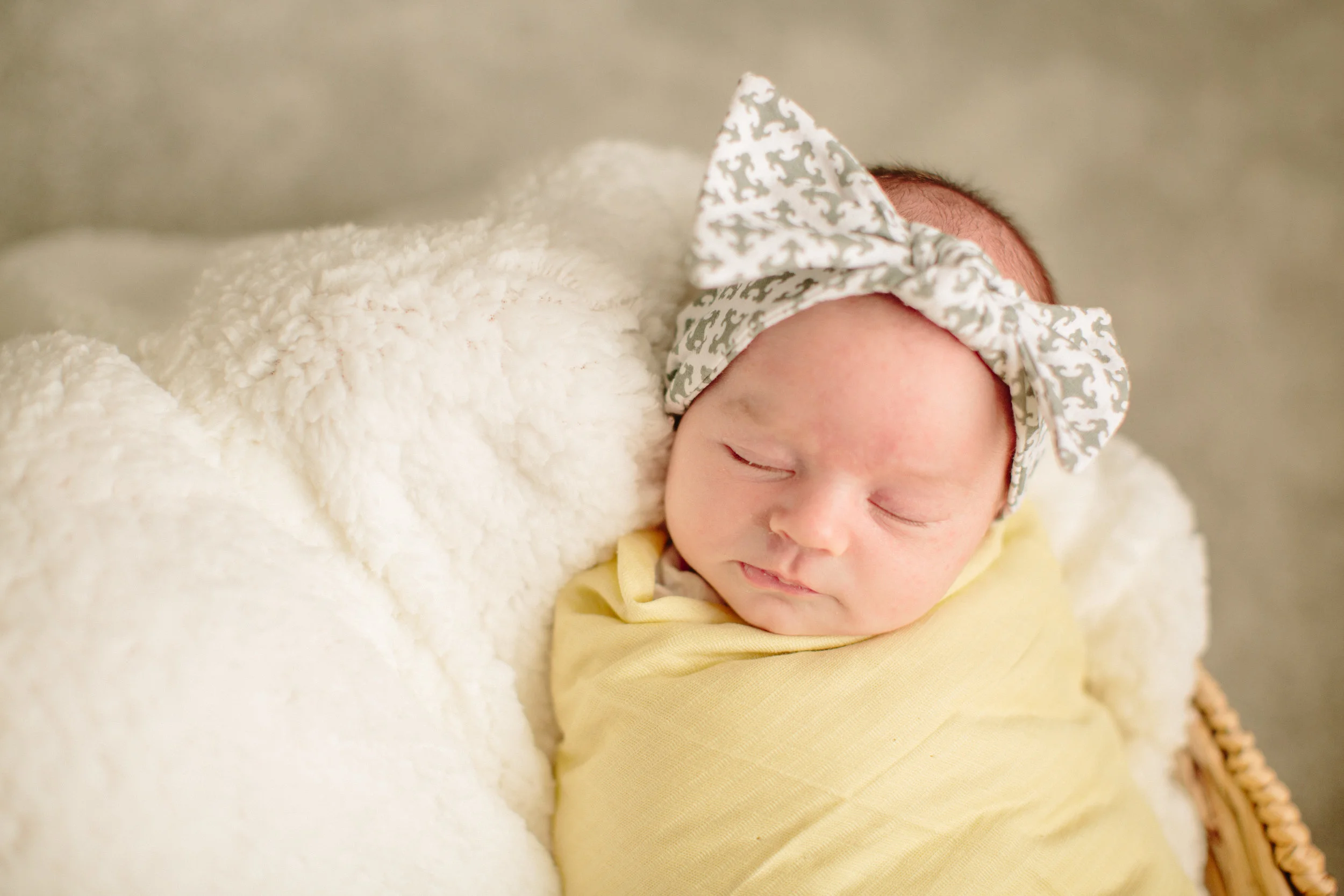 Des Moines Lifestyle Newborn Photographer