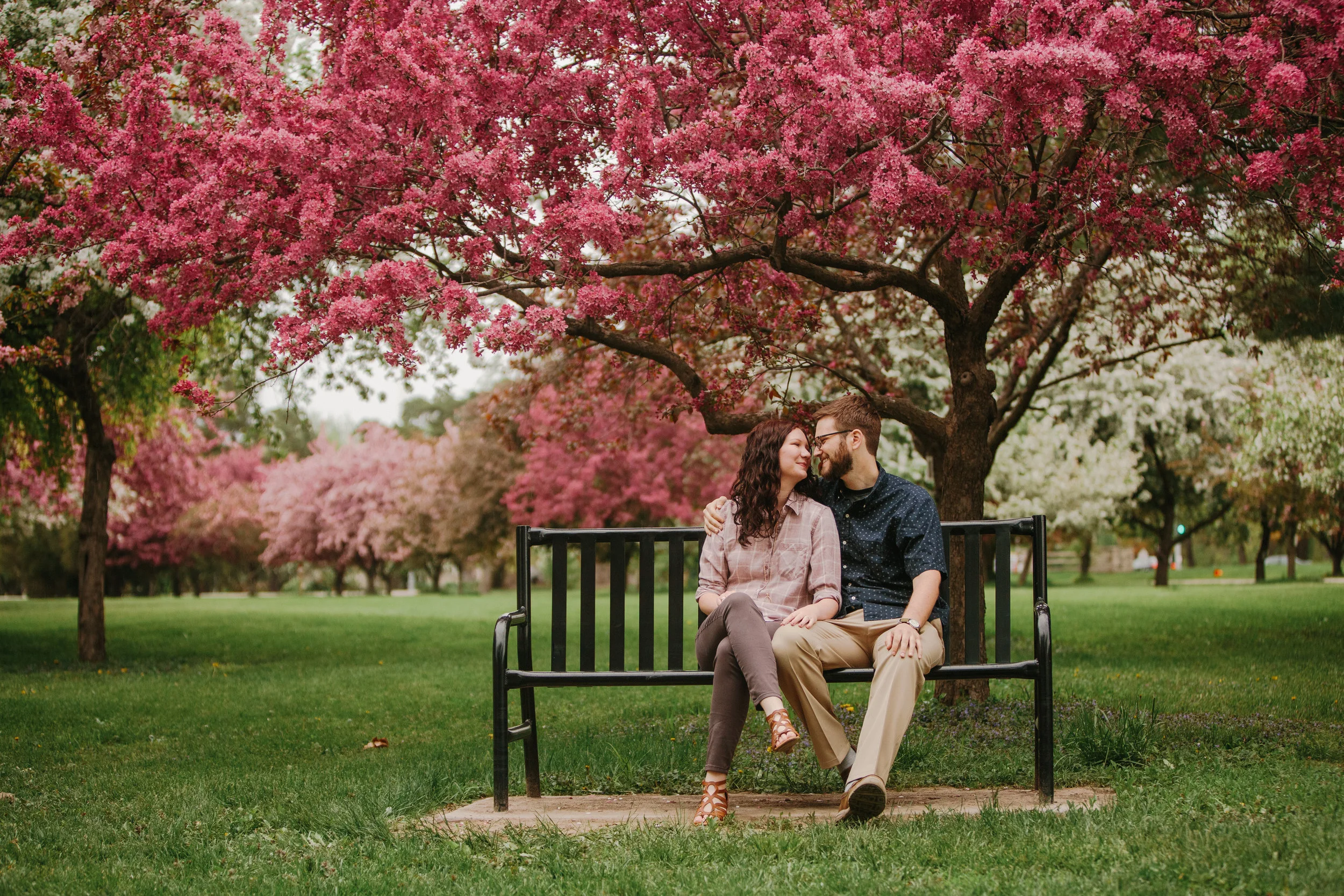 urbandale iowa des moines ankeny west des moines wedding photographers cherry blossom pictures