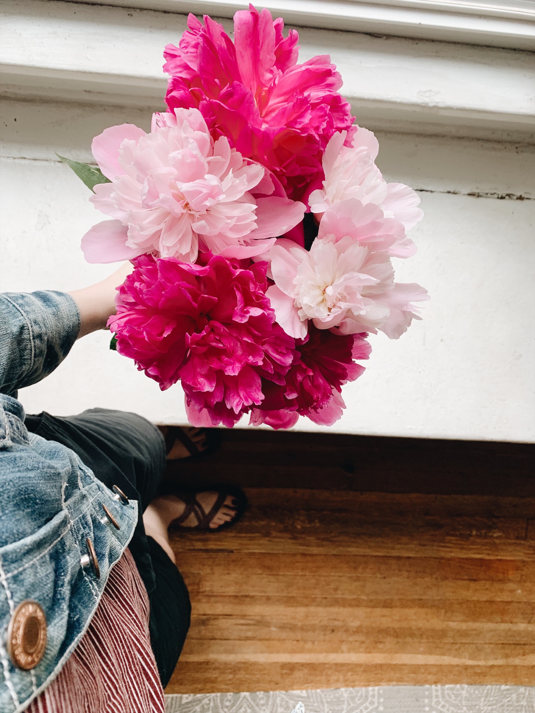 peonies-des-moines-iowa.jpeg