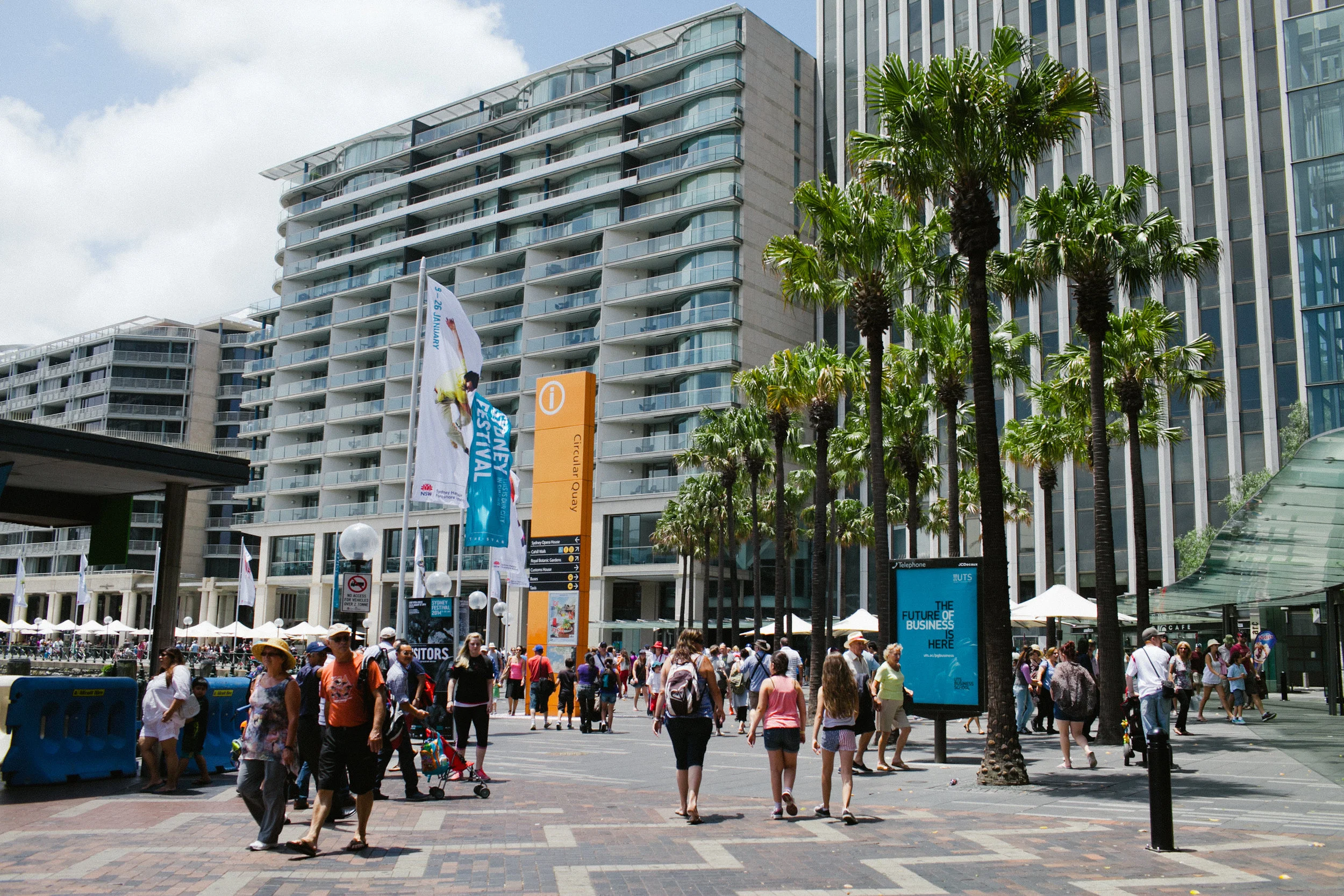 down by Sydney harbor what to expect travel