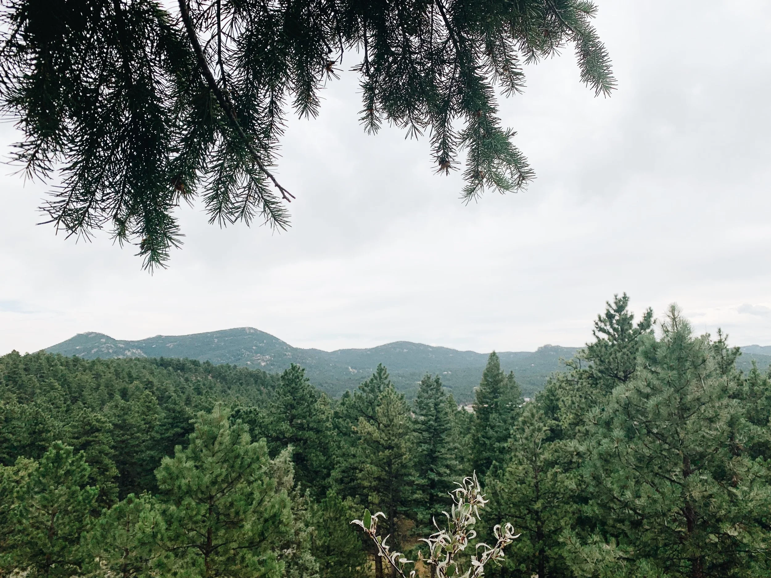 Colorado in August... and some new fun places to explore!