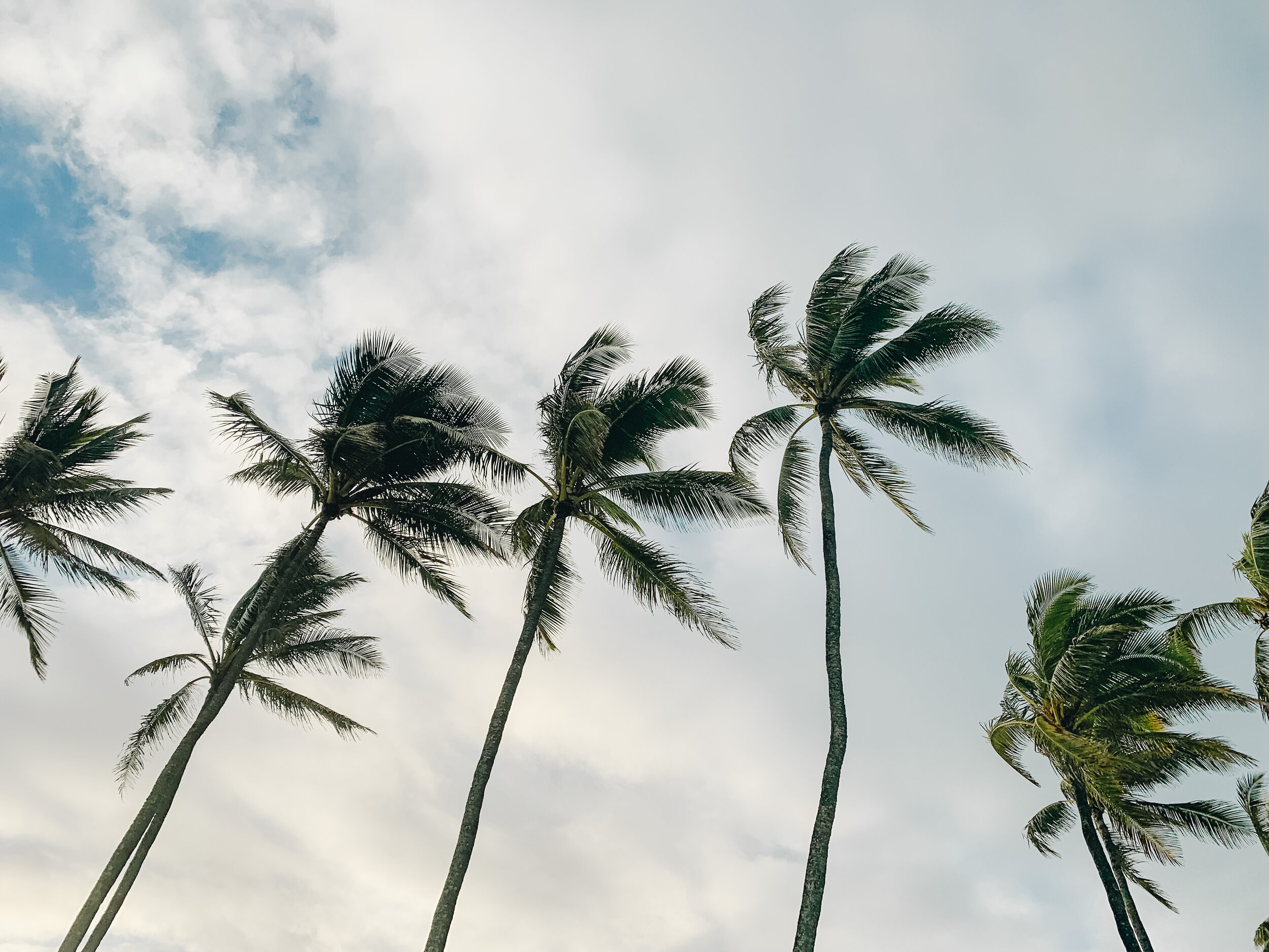 Top Things to Do in Hawaii: Kauai 