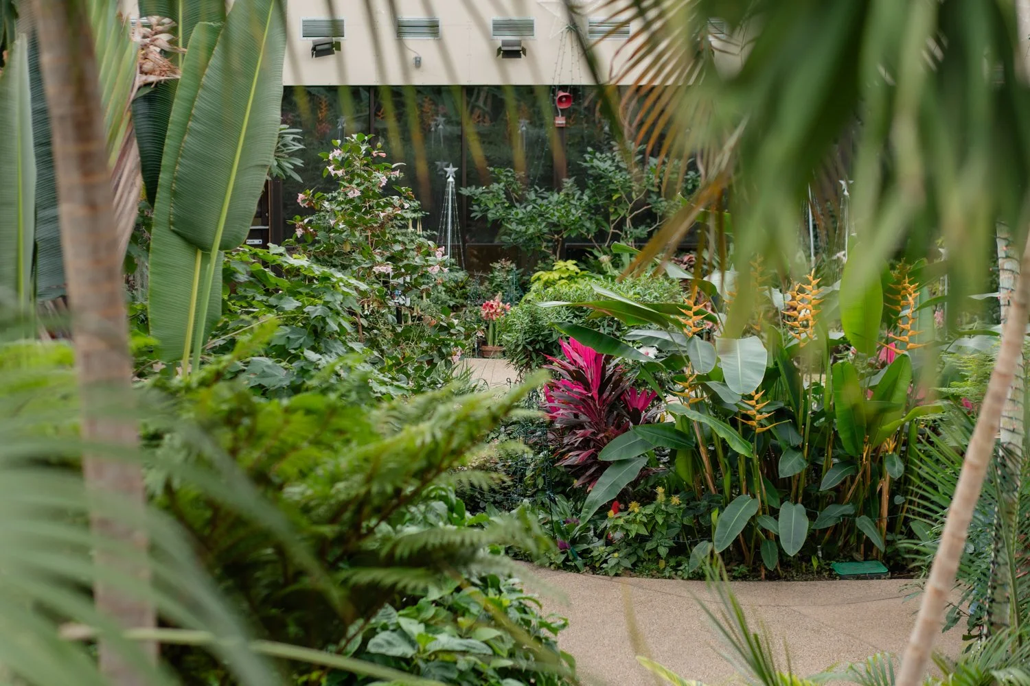 des-moines-botanical-gardens-proposal-photographer-1.jpg