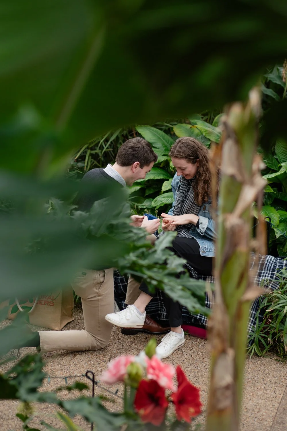 des-moines-botanical-gardens-proposal-photographer-11.jpg