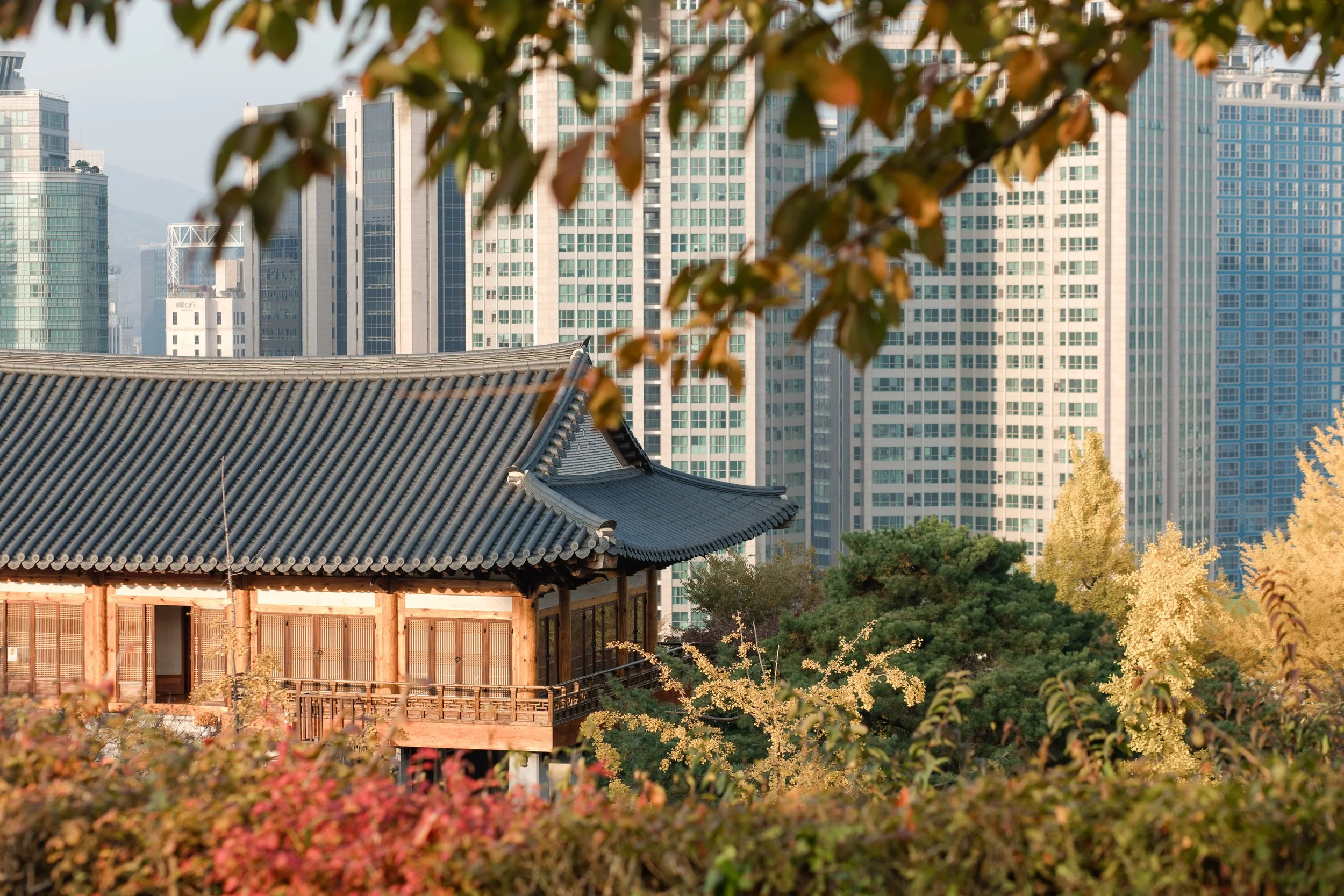 South Korea // Photos and Musings