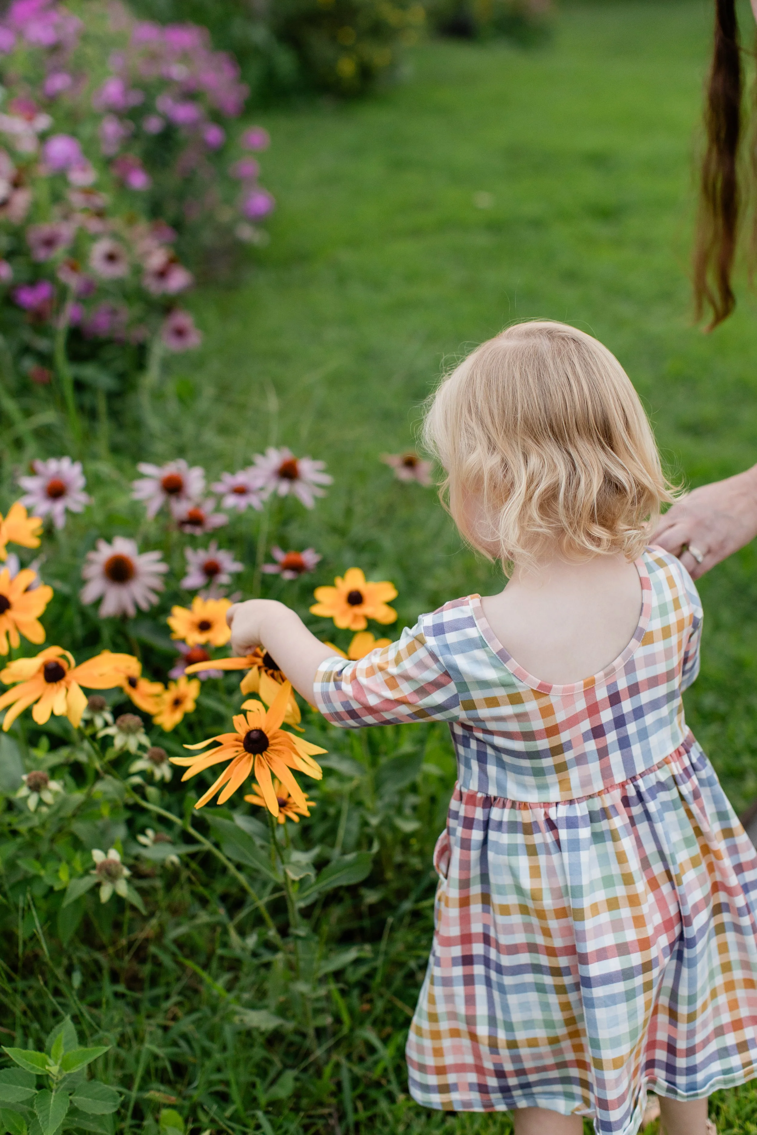 Cedar Falls Family Photographer / The DZ's